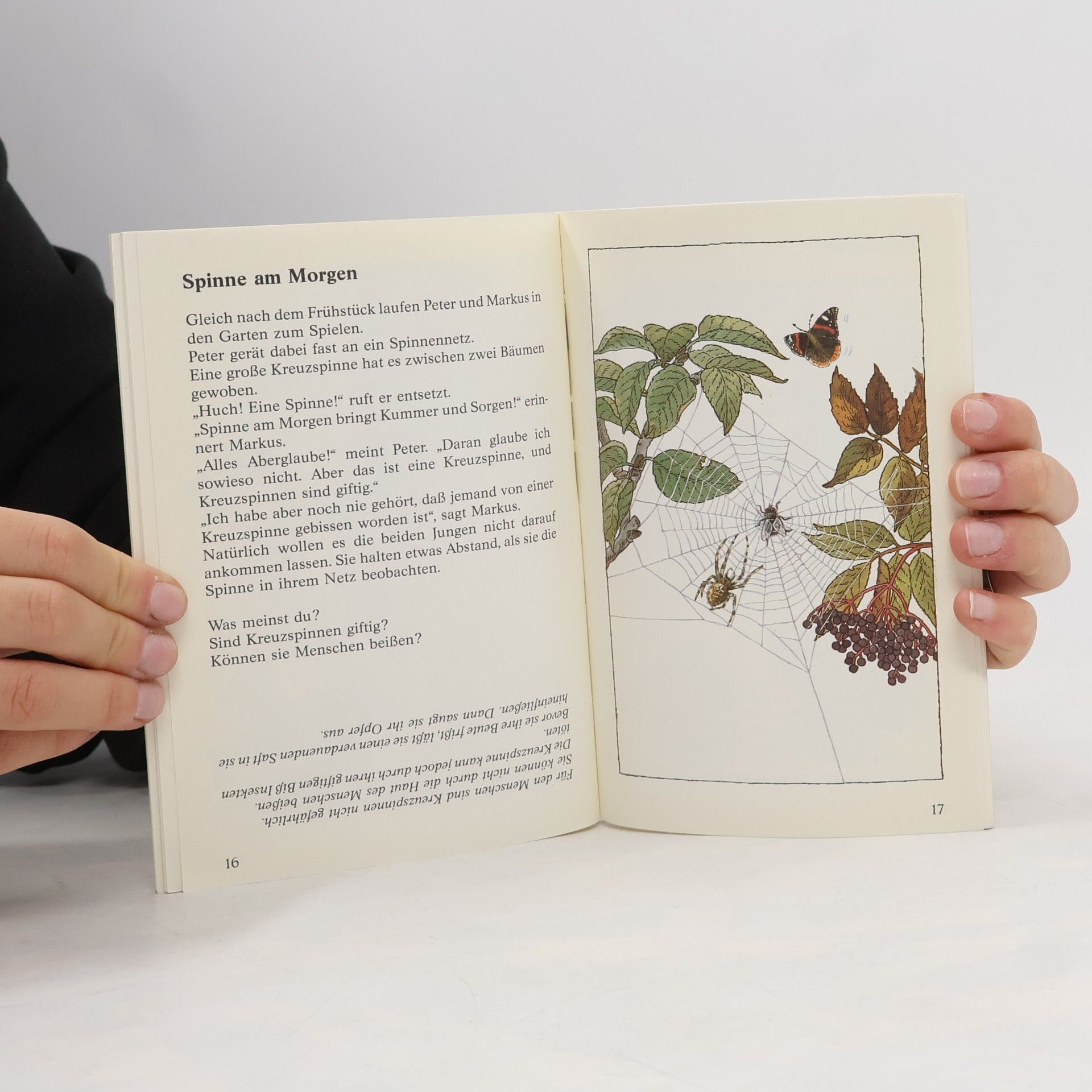 Insa Bauer Die Grille auf der Brille: Quizfragen aus der Natur (Ravensburger Taschenbücher)