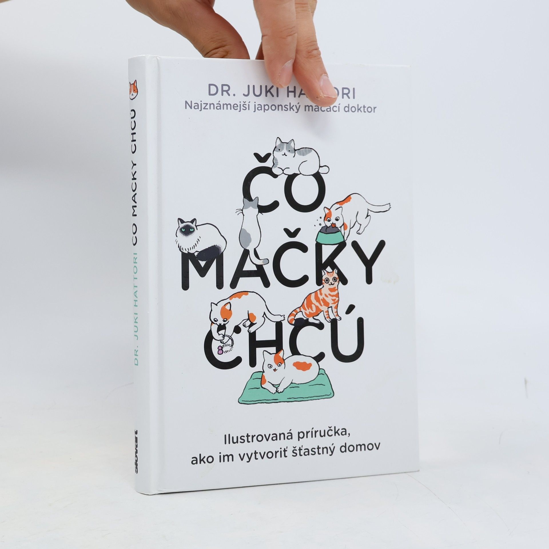 Čo mačky chcú