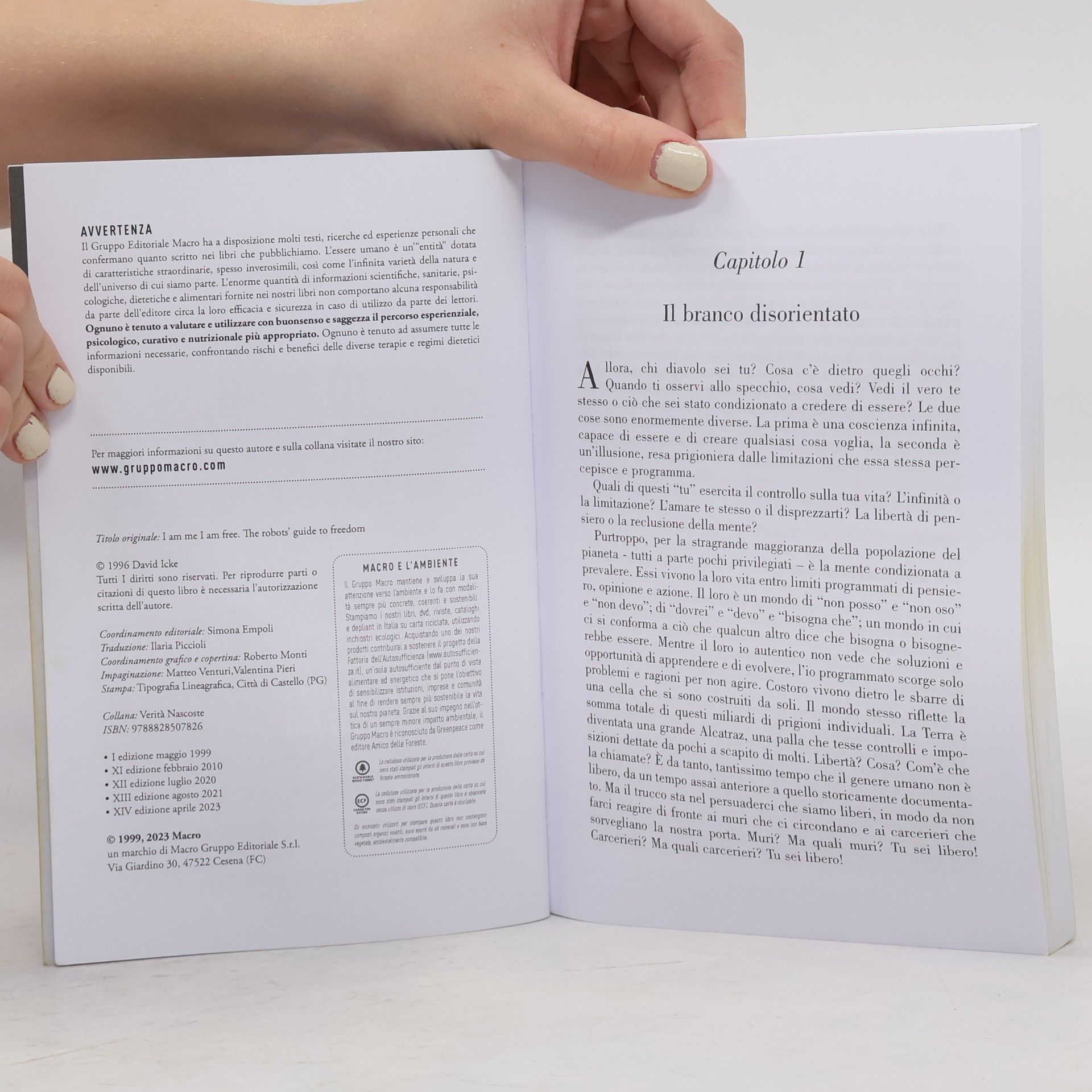 David Icke Verità nascoste: Io sono me stesso io sono libero