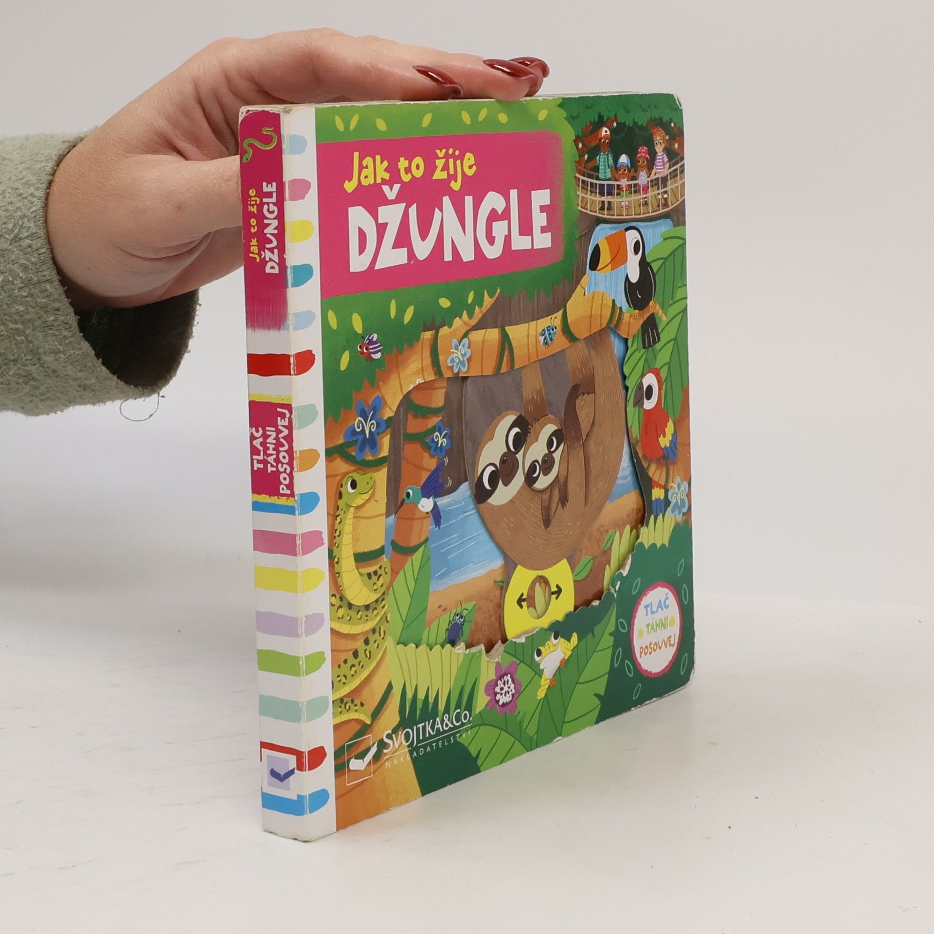 Jak to žije - džungle