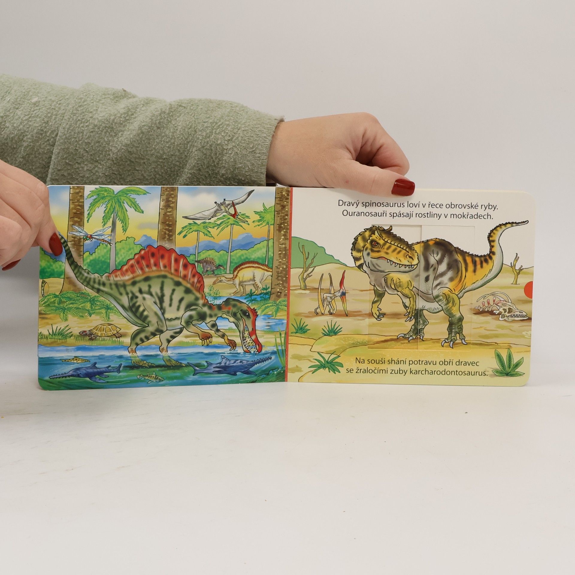 Pavlína Šamalíková S Dinosaury - Zatáhni a otevři okénko