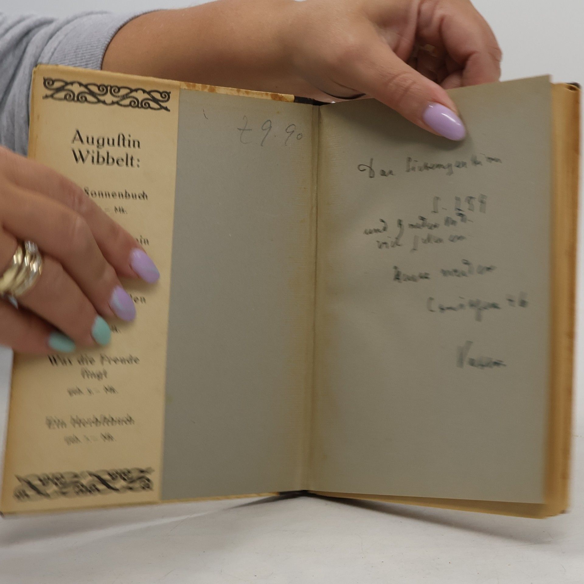 Augustin Wibbelt Ein Heimatbuch