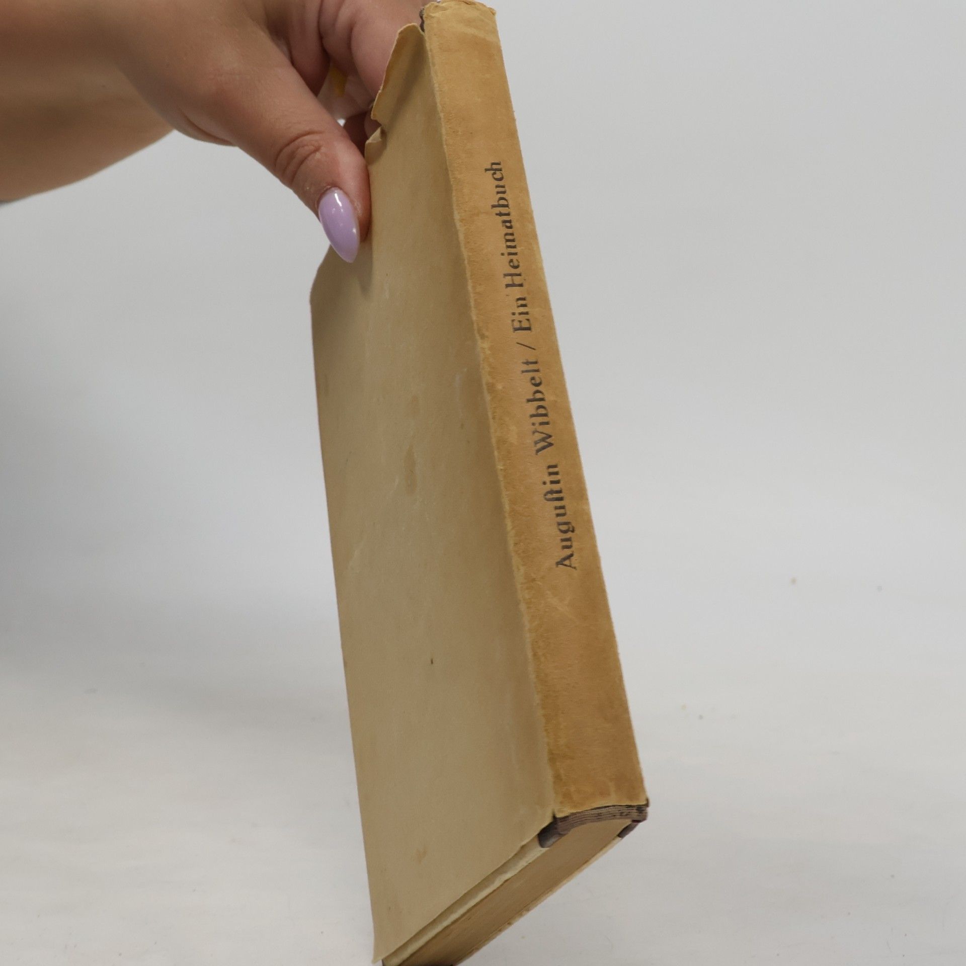 Augustin Wibbelt Ein Heimatbuch