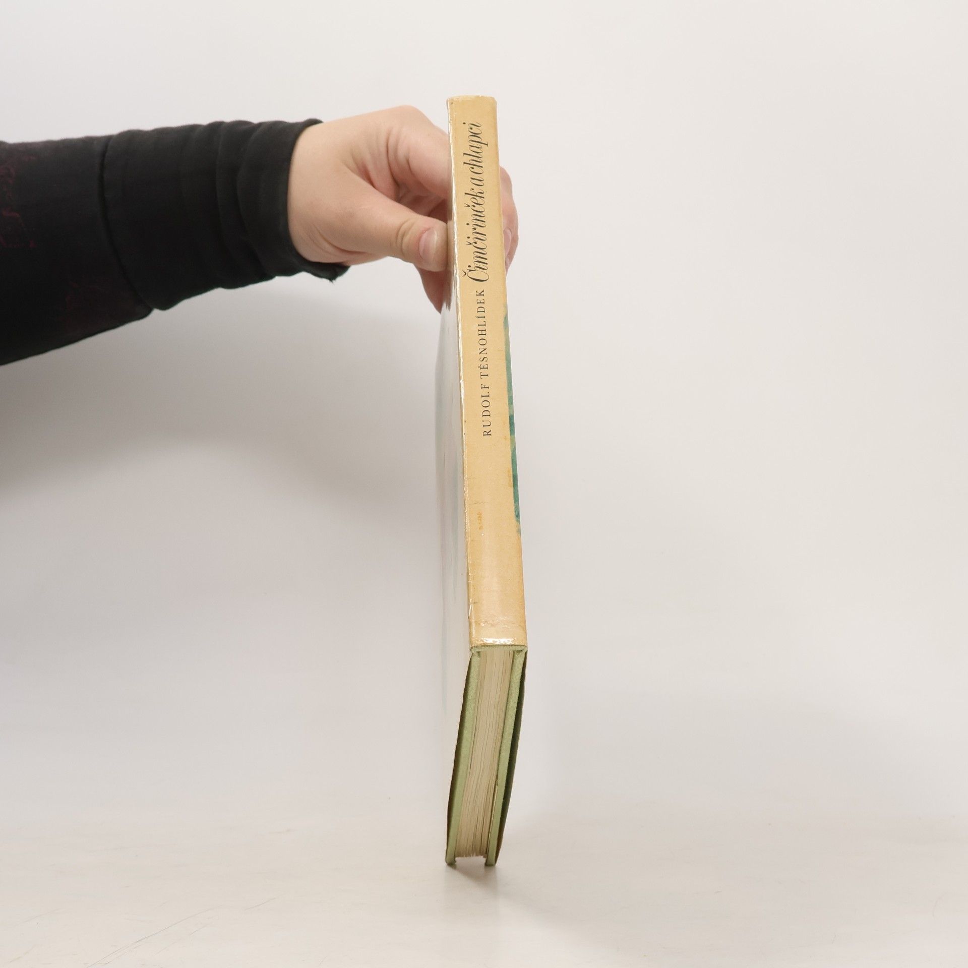 Rudolf Těsnohlídek Čimčirinček a chlapci