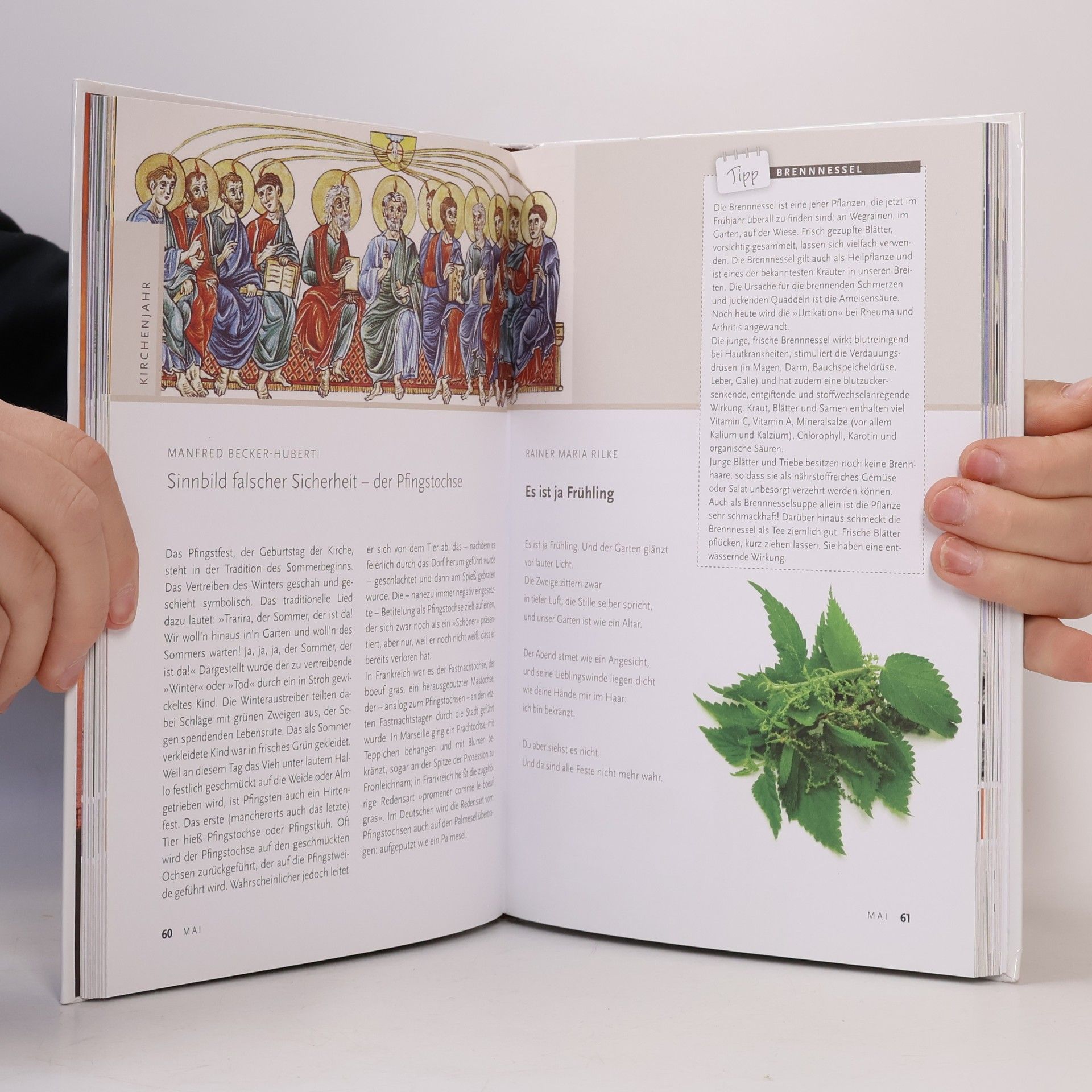 Christliches Hausbuch für die ganze Familie 2015: mit Geschichten & praktischen Tipps für den Jahreskreis