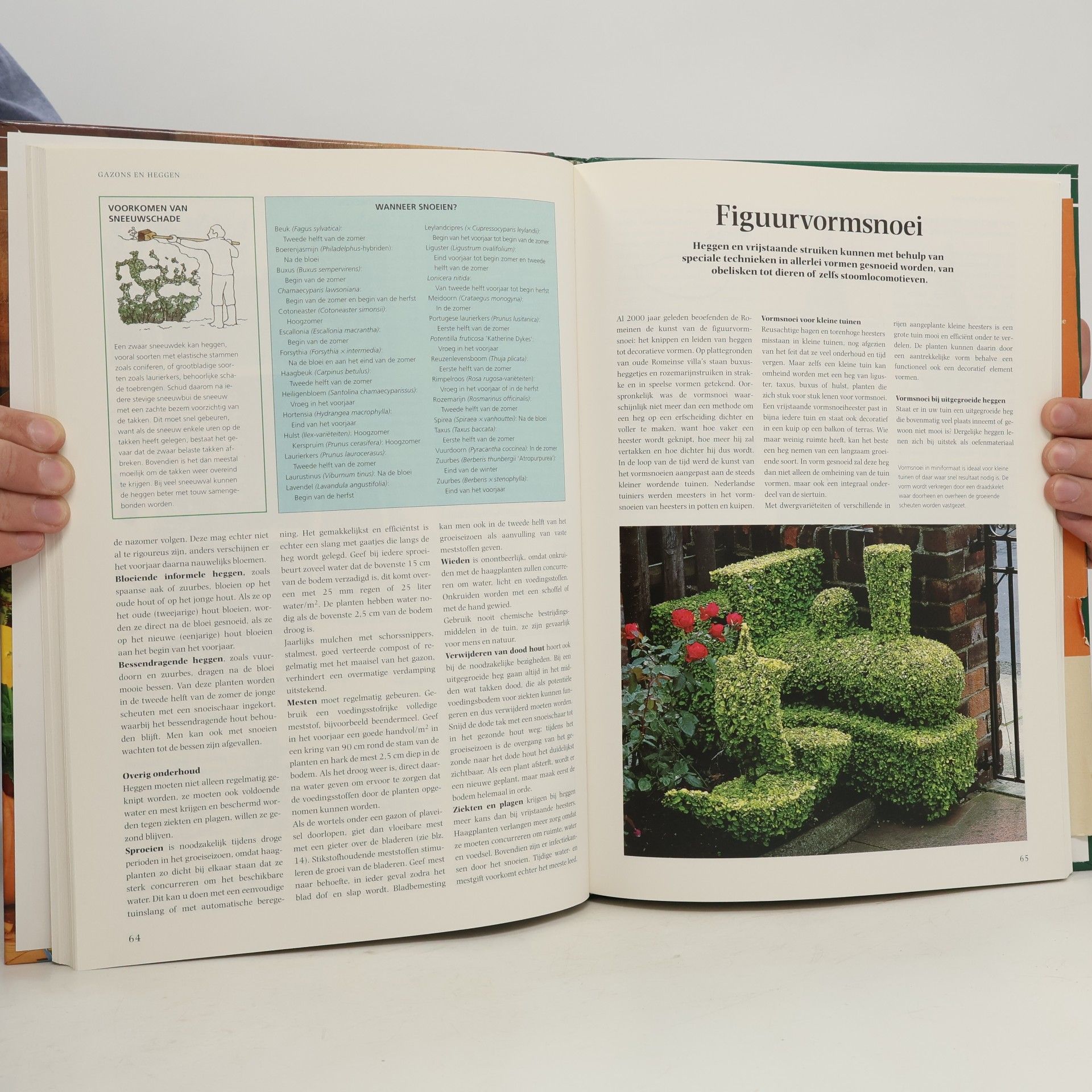 Autorenkollektiv Succesvol tuinieren