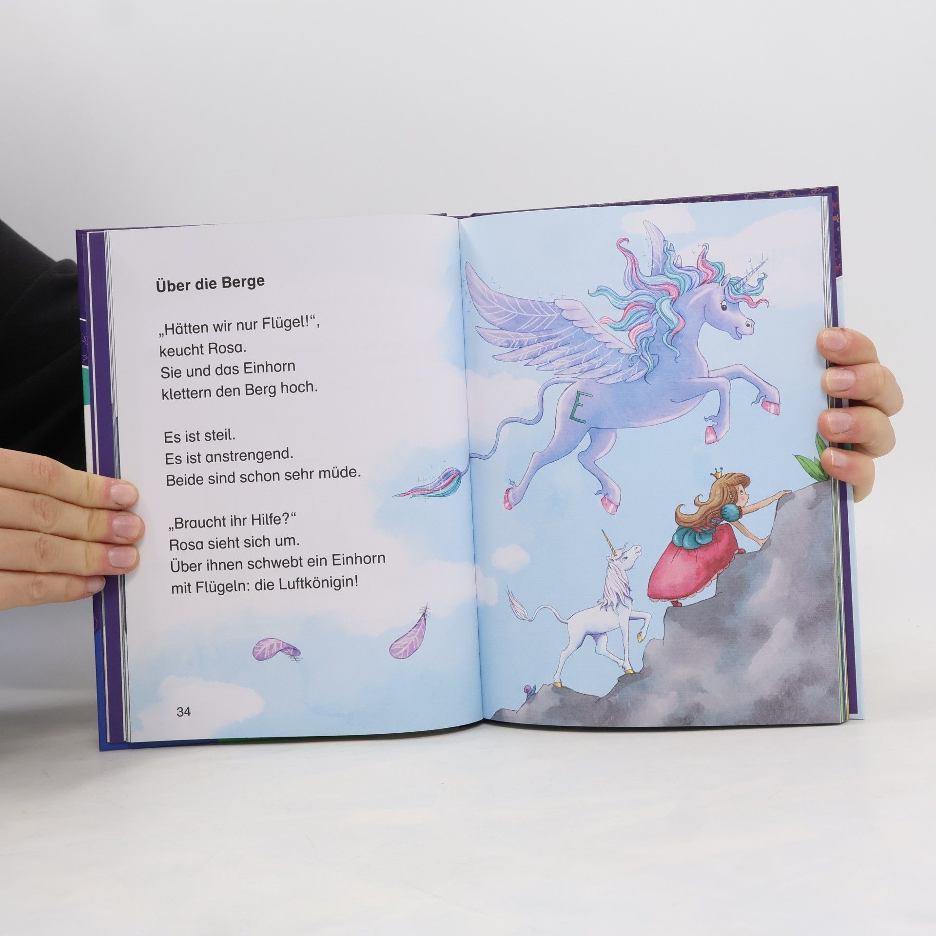 Usch Luhn Die schönsten Einhorn- und Feengeschichten zum Lesenlernen - Leserabe ab 1. Klasse - Erstlesebuch für Kinder ab 6 Jahren