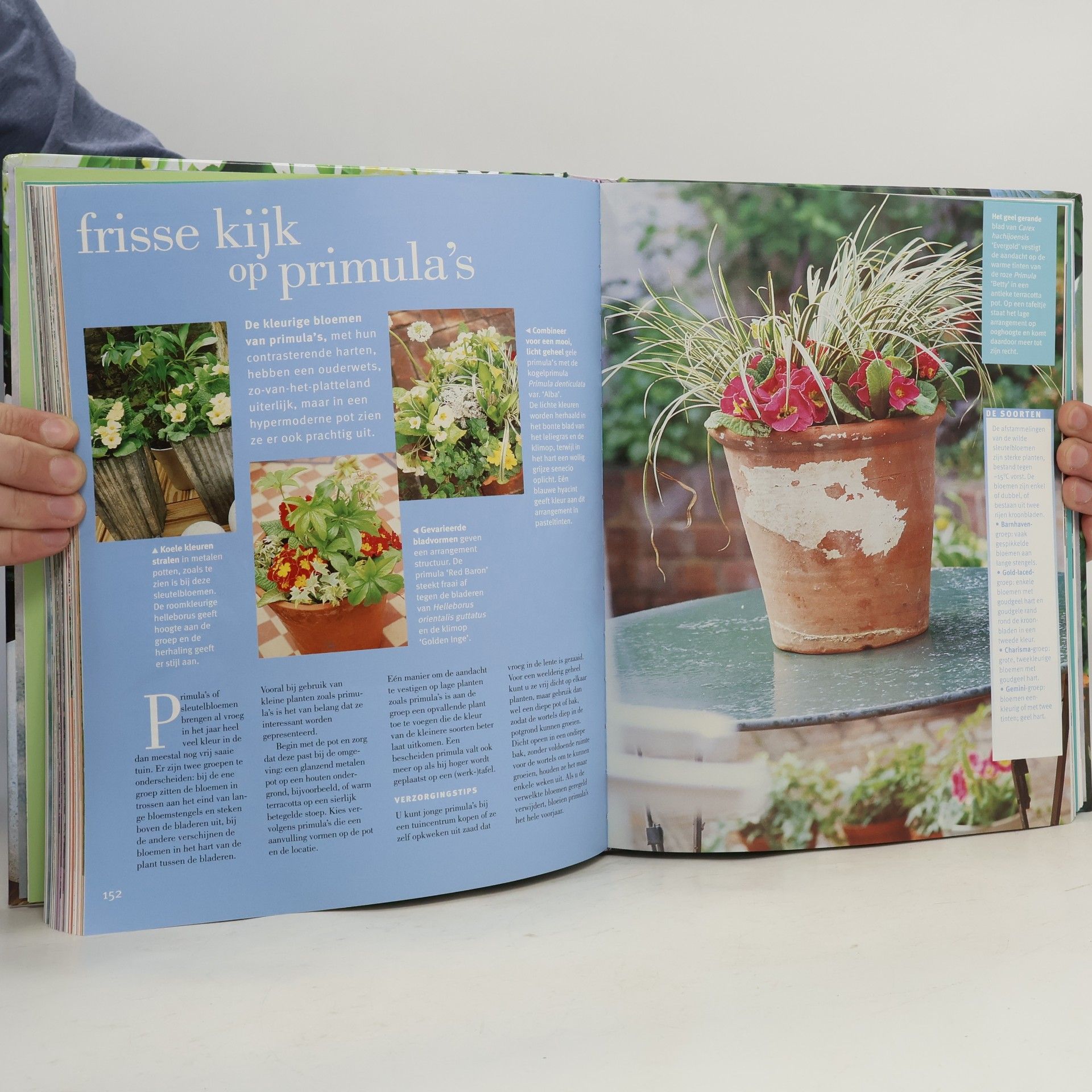Richard Day Tuinieren met potplanten