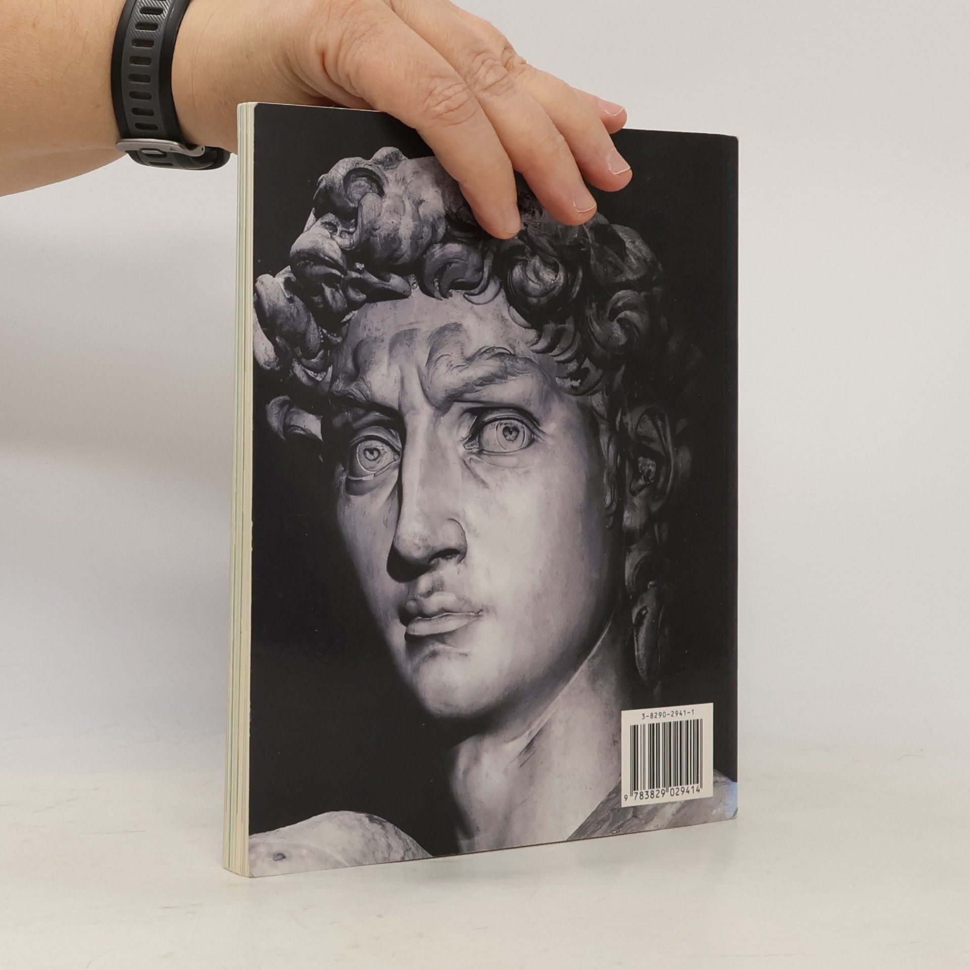 Alessandra Giovannini Michelangelo Buonarroti