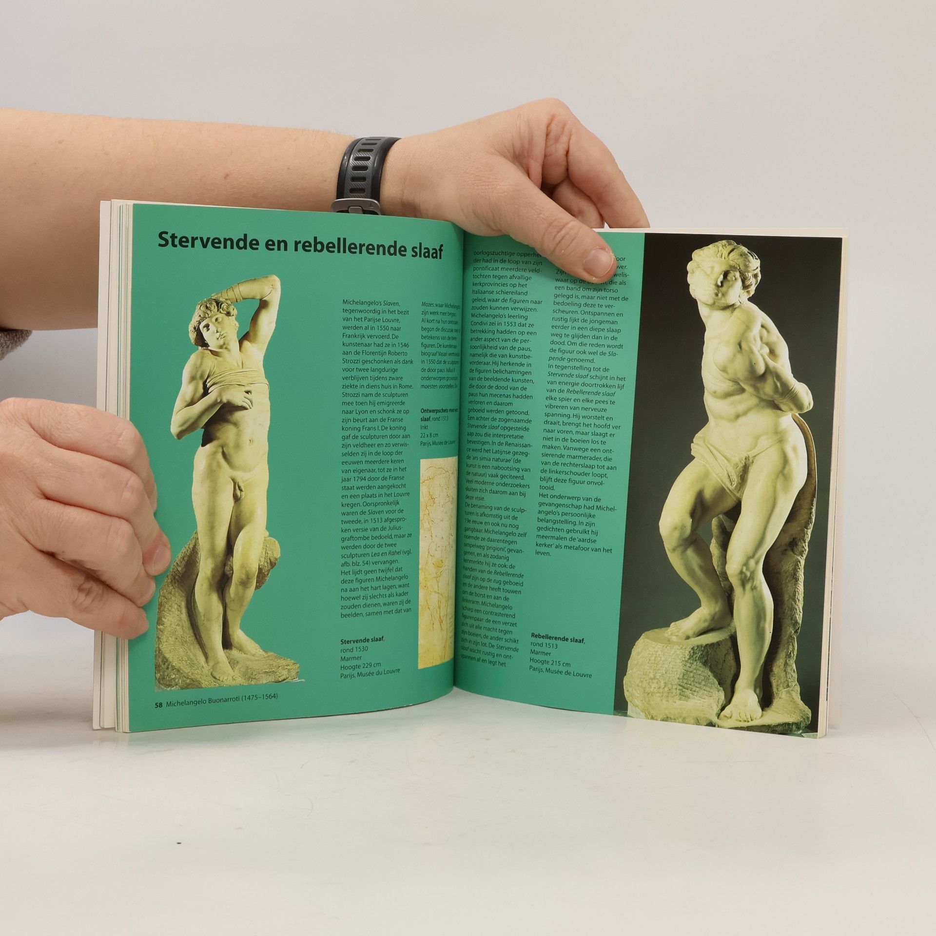 Alessandra Giovannini Michelangelo Buonarroti
