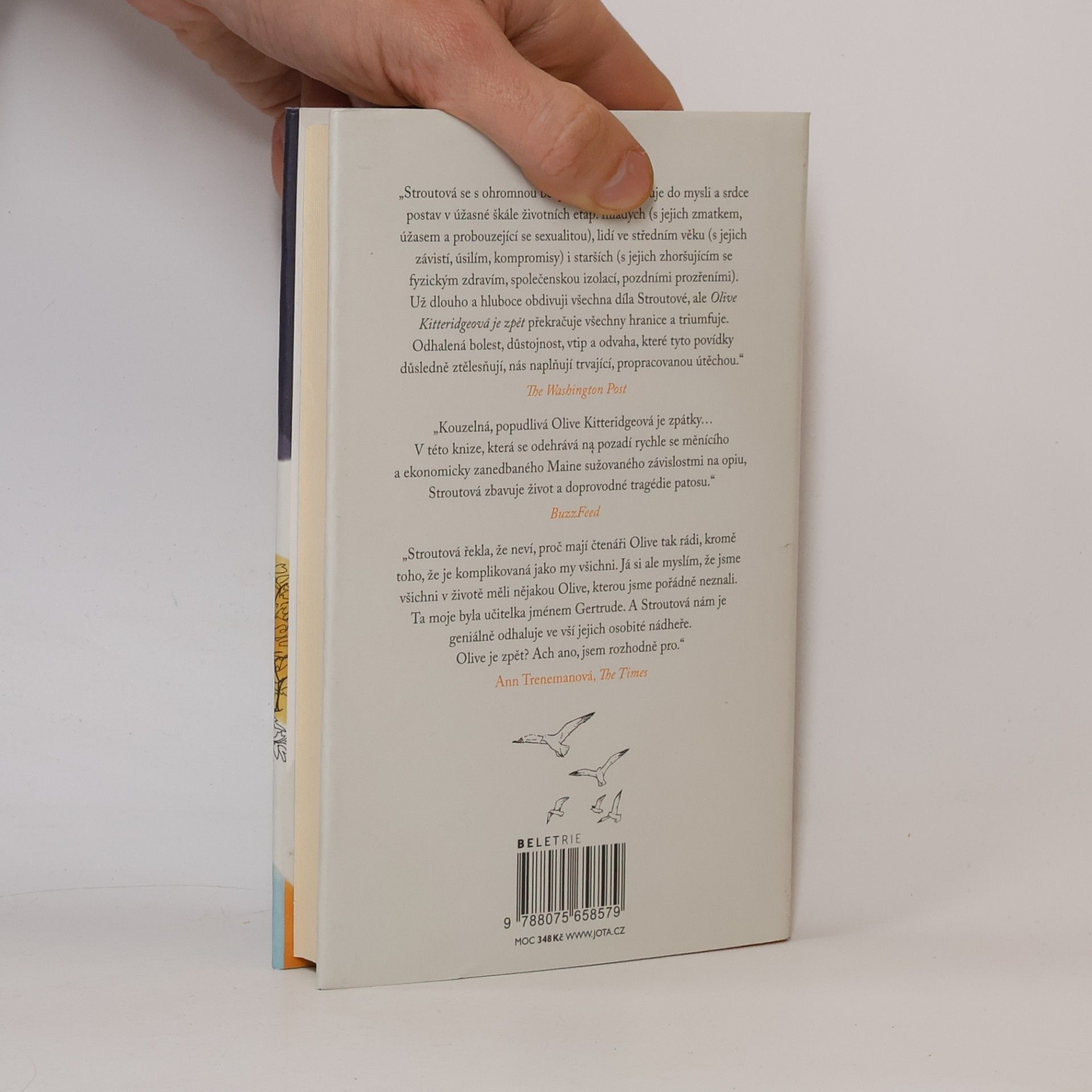 Elizabeth Strout Olive Kitteridgeová je zpět