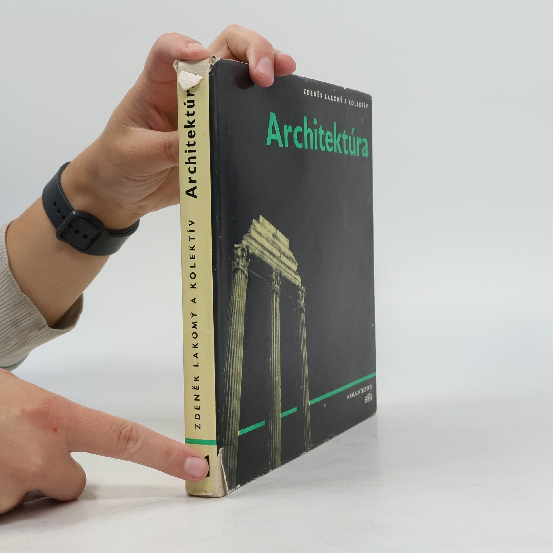 Zdeněk Lakomý Architektúra