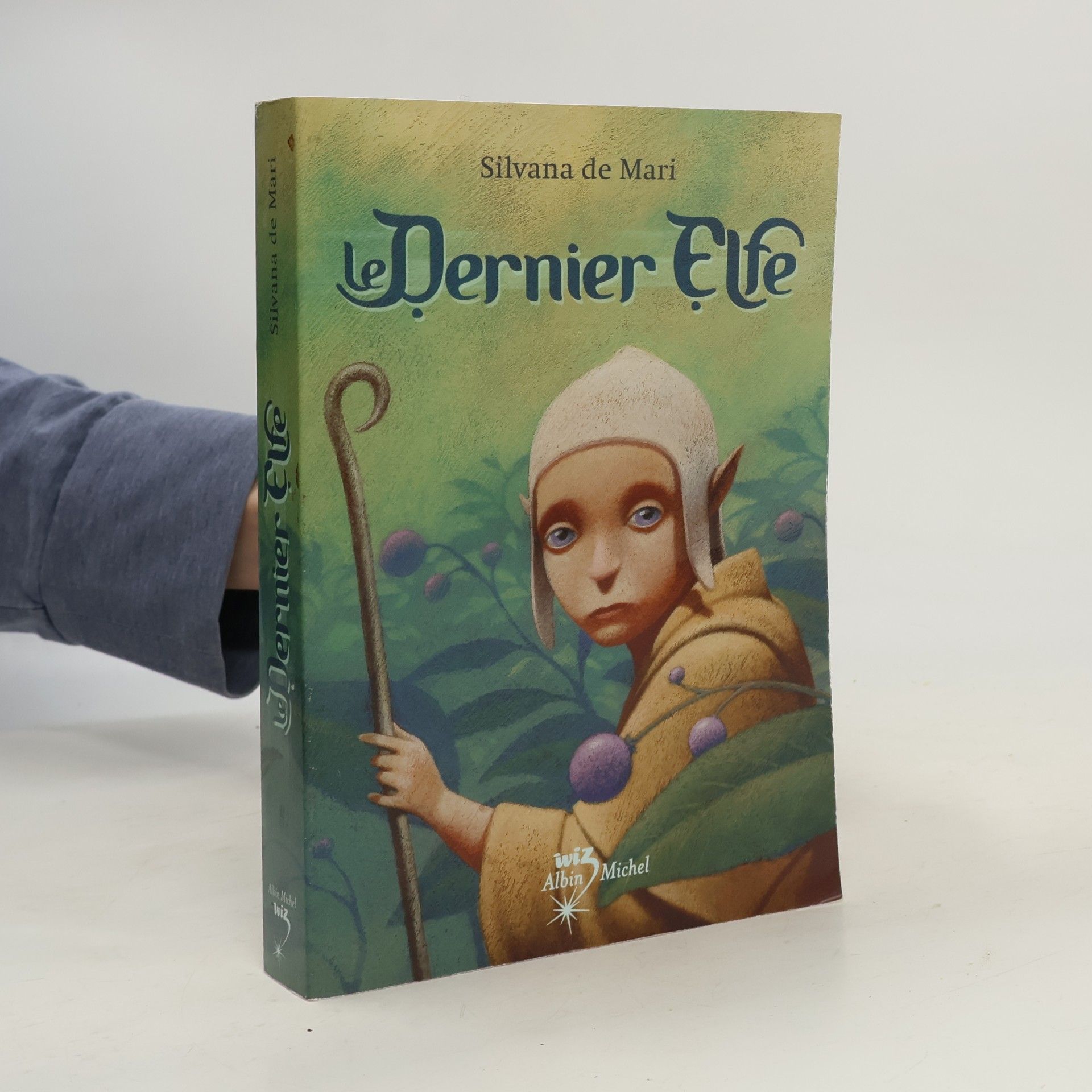 Le dernier elfe