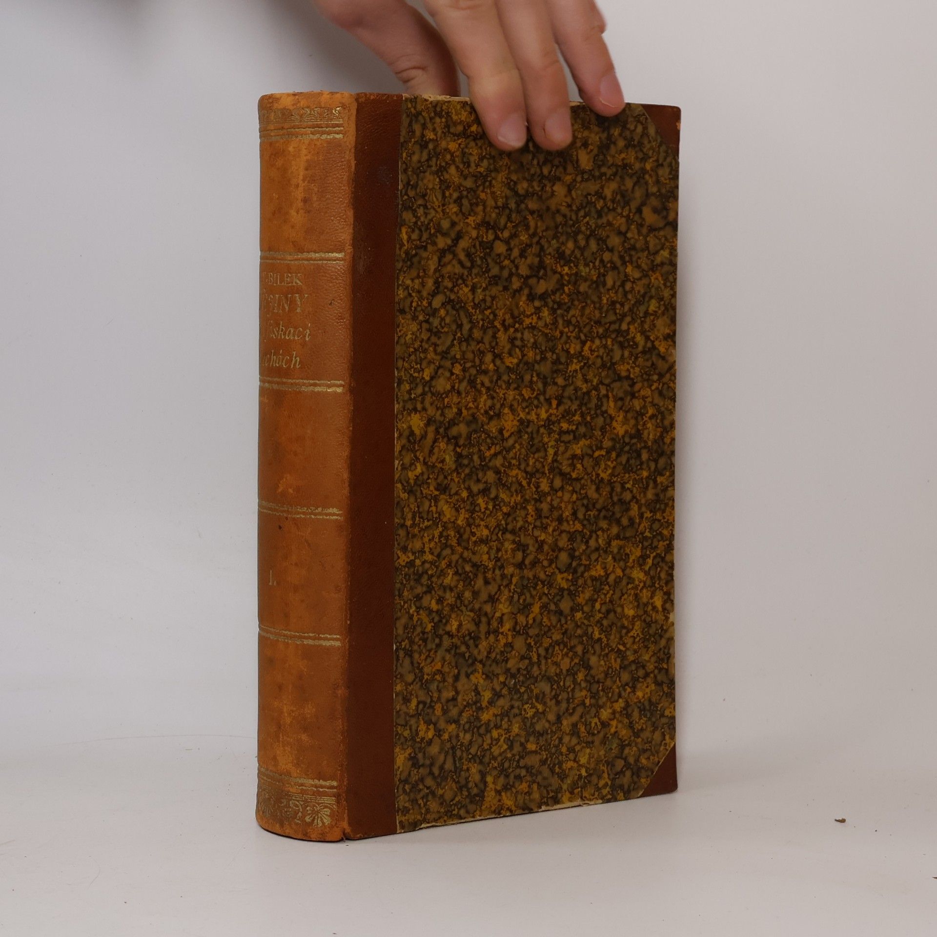Tomáš Václav Bílek Dějiny konfiskací v Čechách po r. 1618