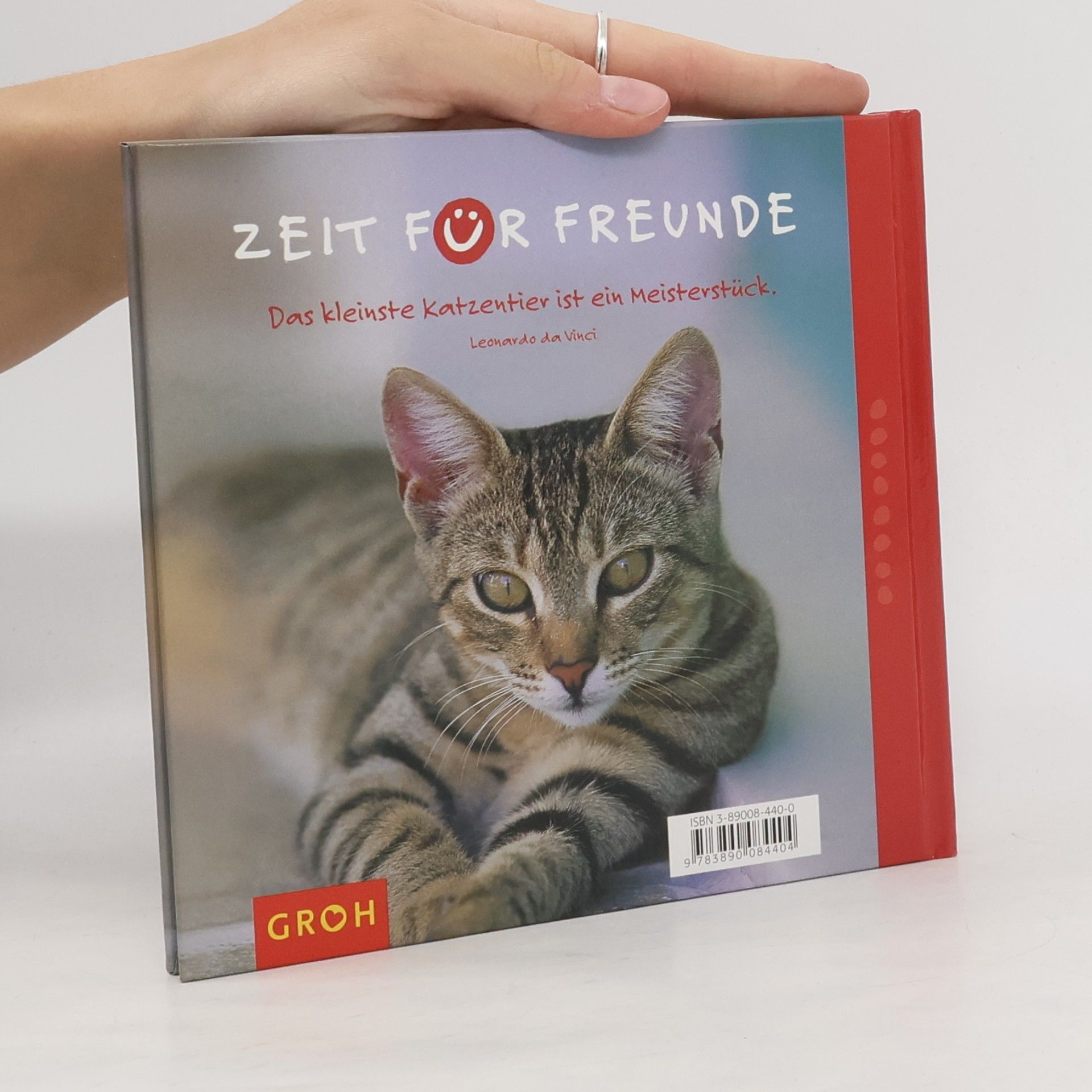 Nina Sandmann Für Katzenfreunde