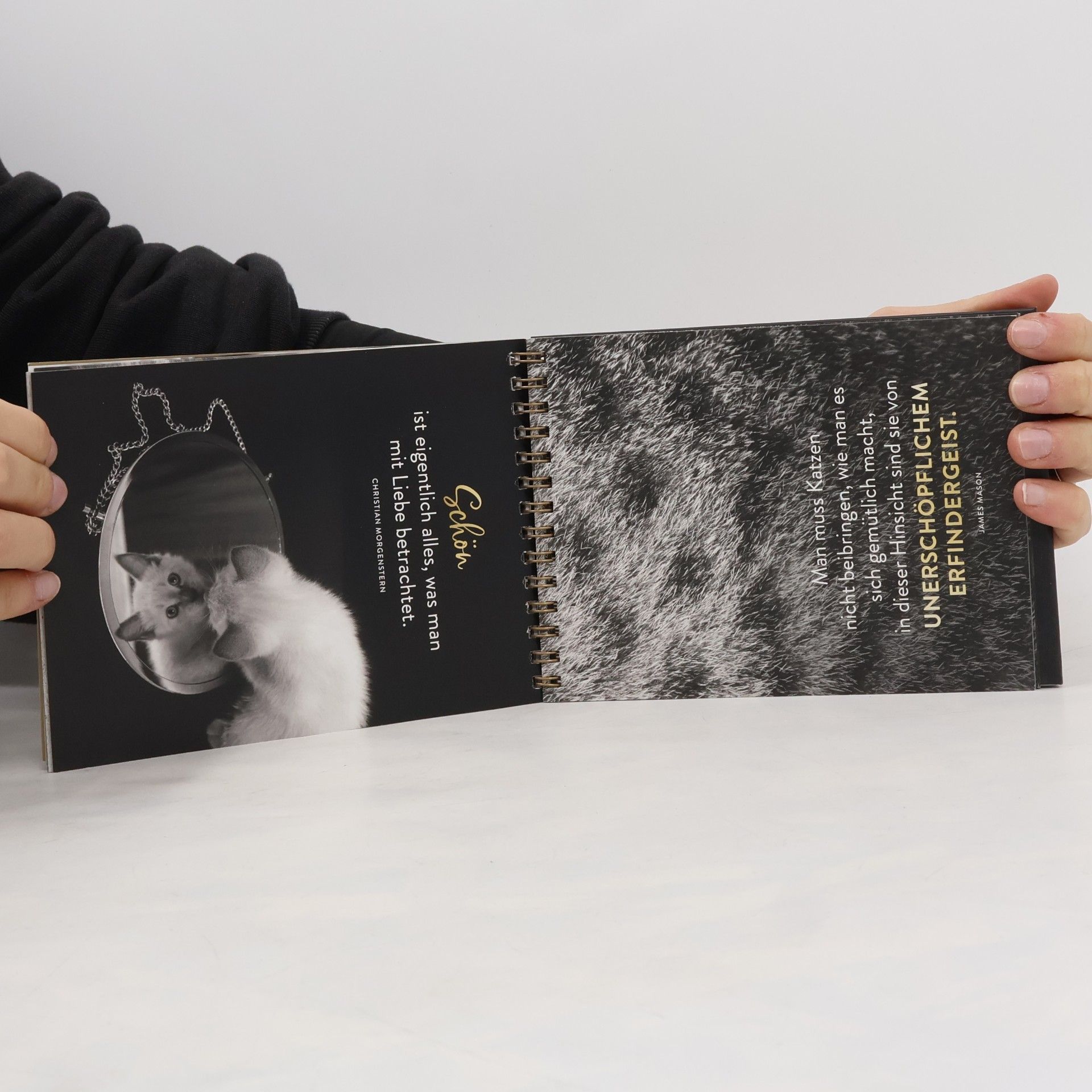 Autorenkollektiv Goldene Katzenweisheiten