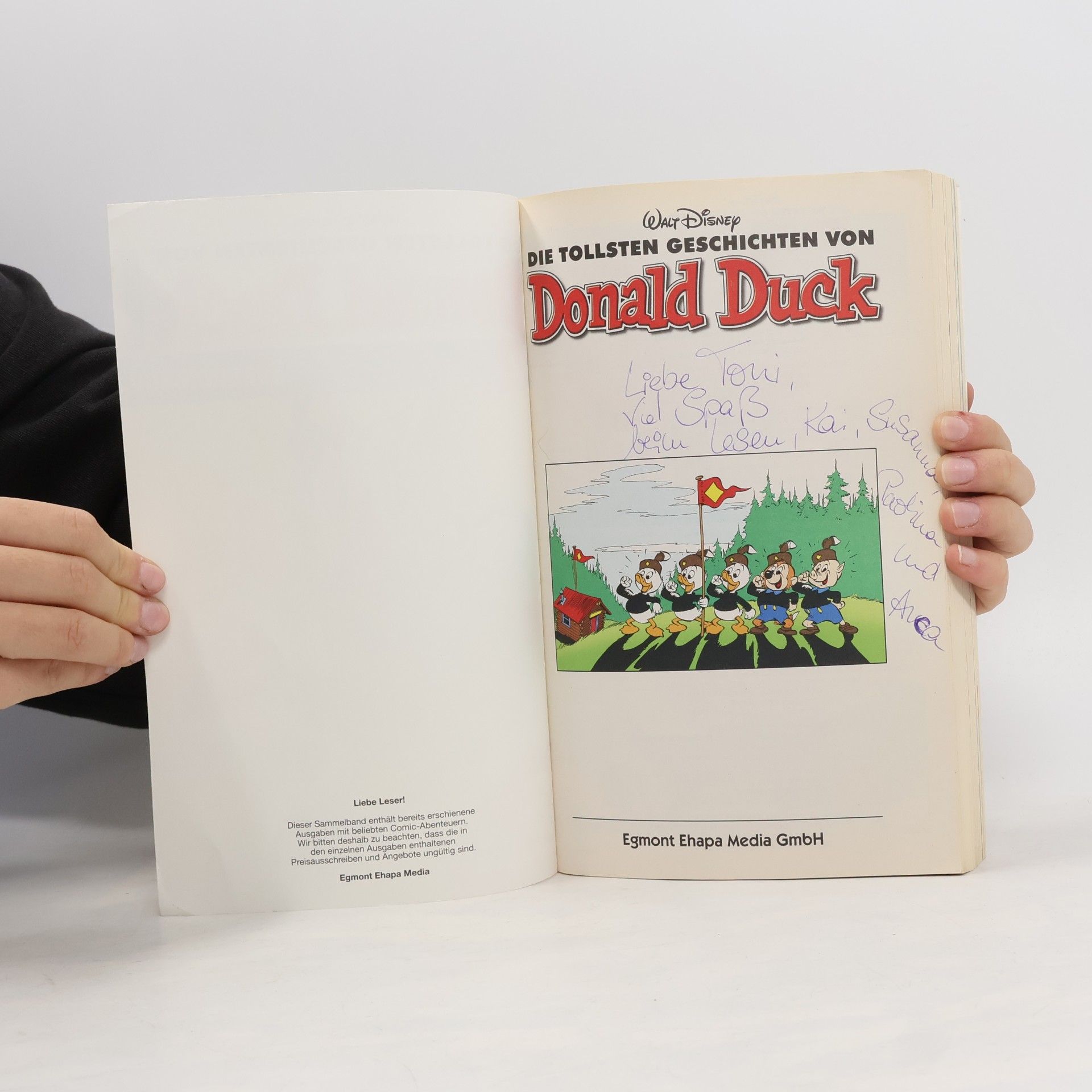 Walt Disney Die tollsten Geschichten von Donald Duck 2