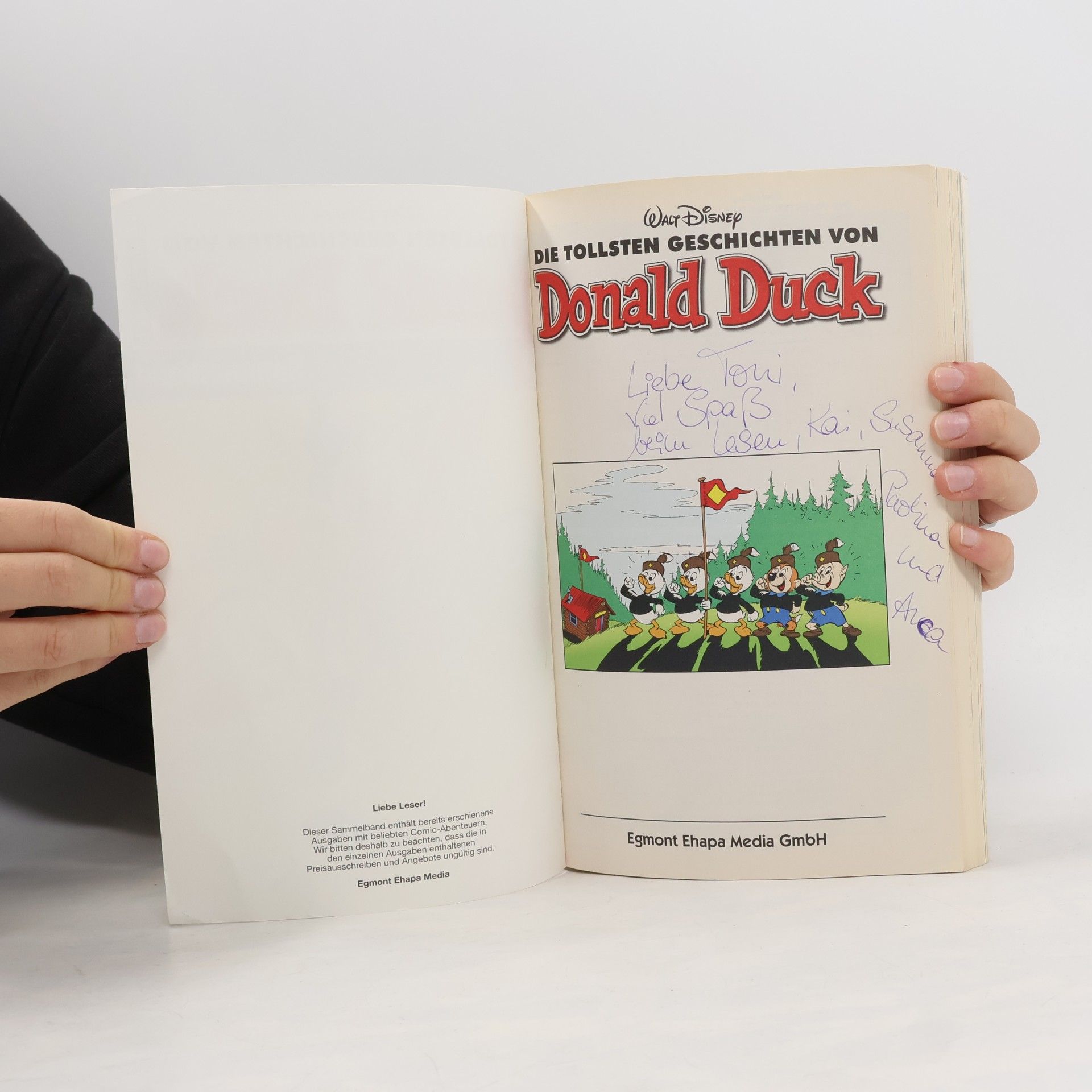 Walt Disney Die tollsten Geschichten von Donald Duck 2