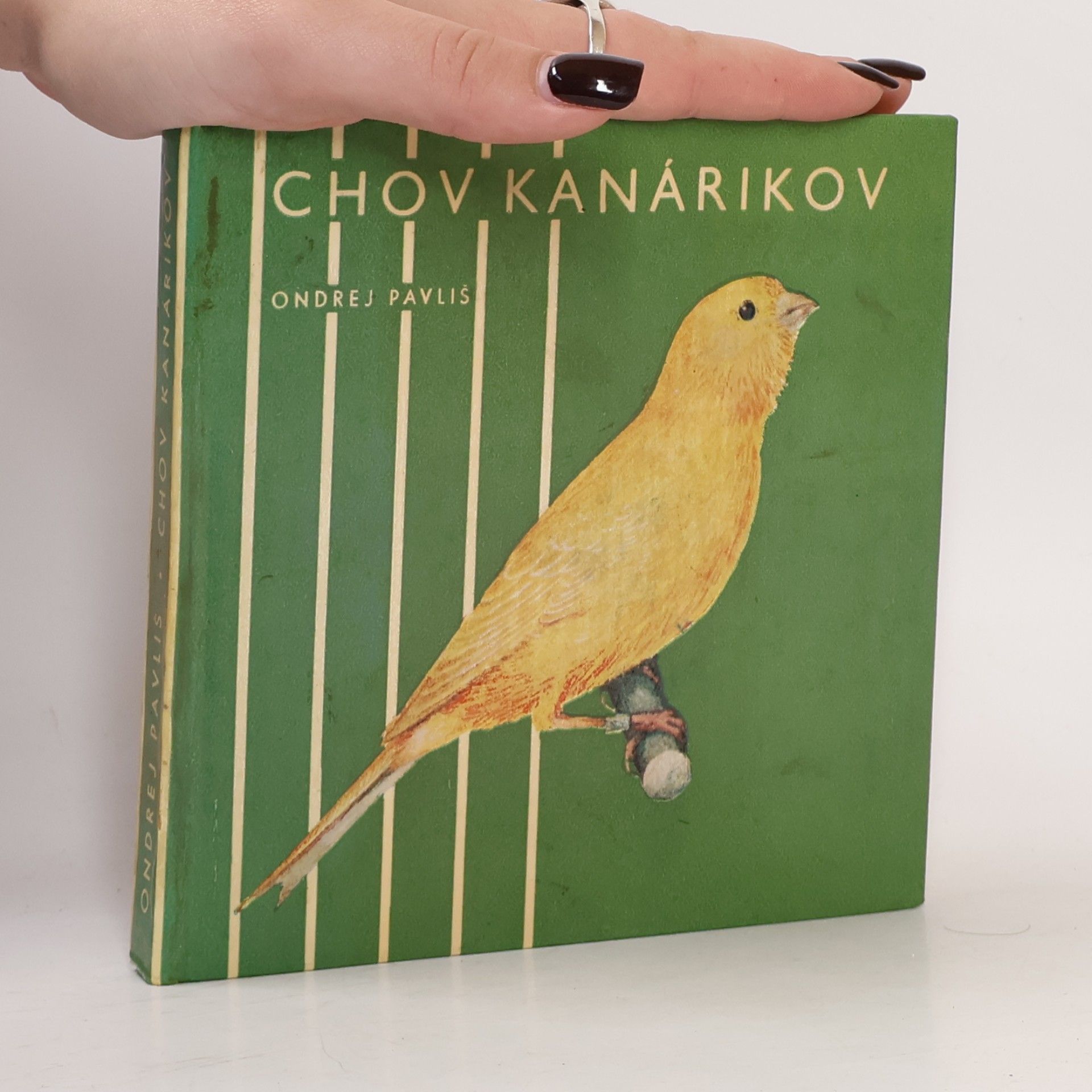 Chov kanárikov