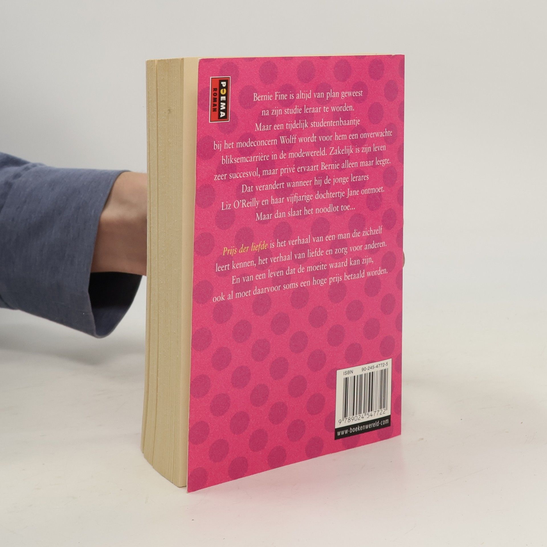 Danielle Steel Prijs der liefde