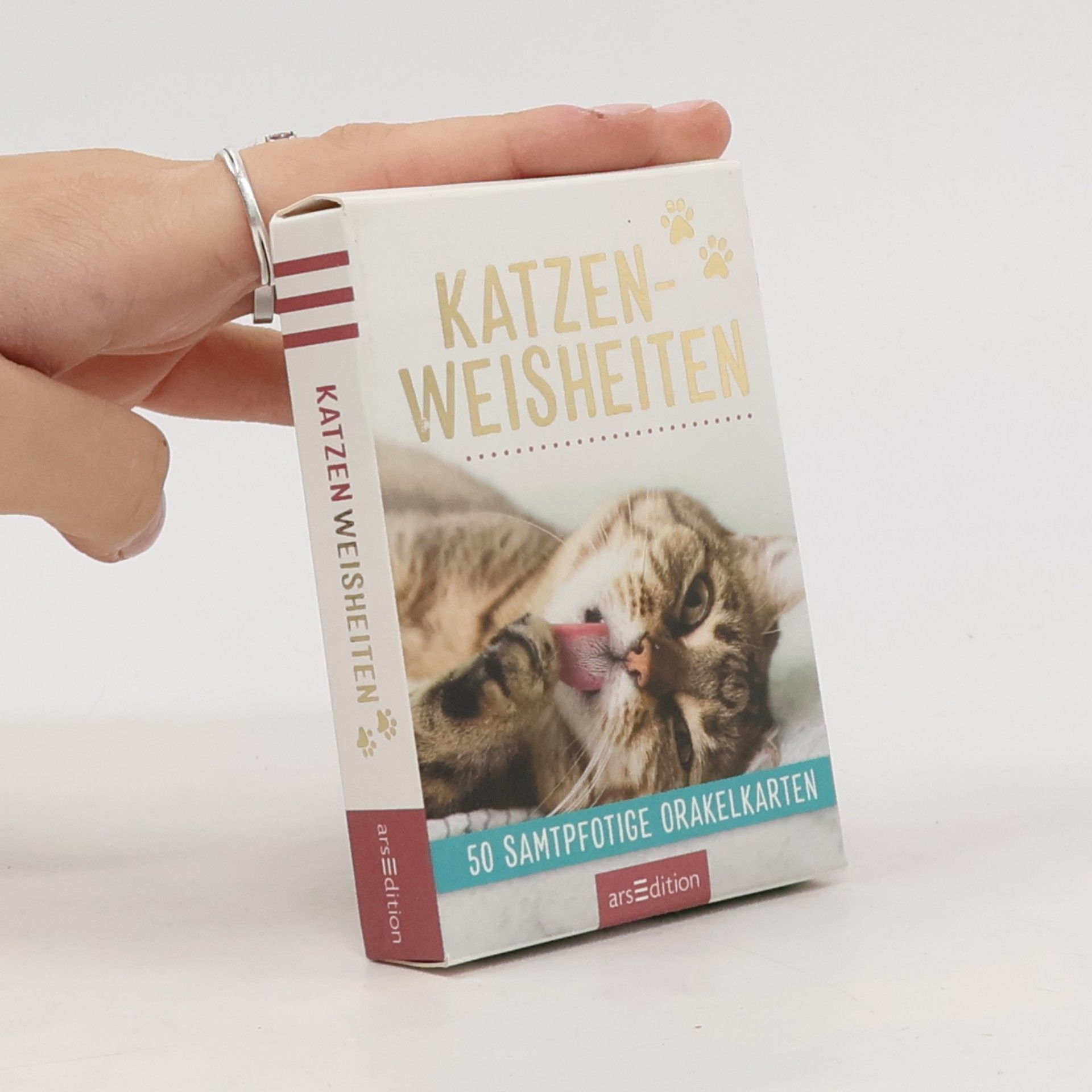 Autorenkollektiv Katzenweisheiten. 50 samtpfotige Orakelkarten