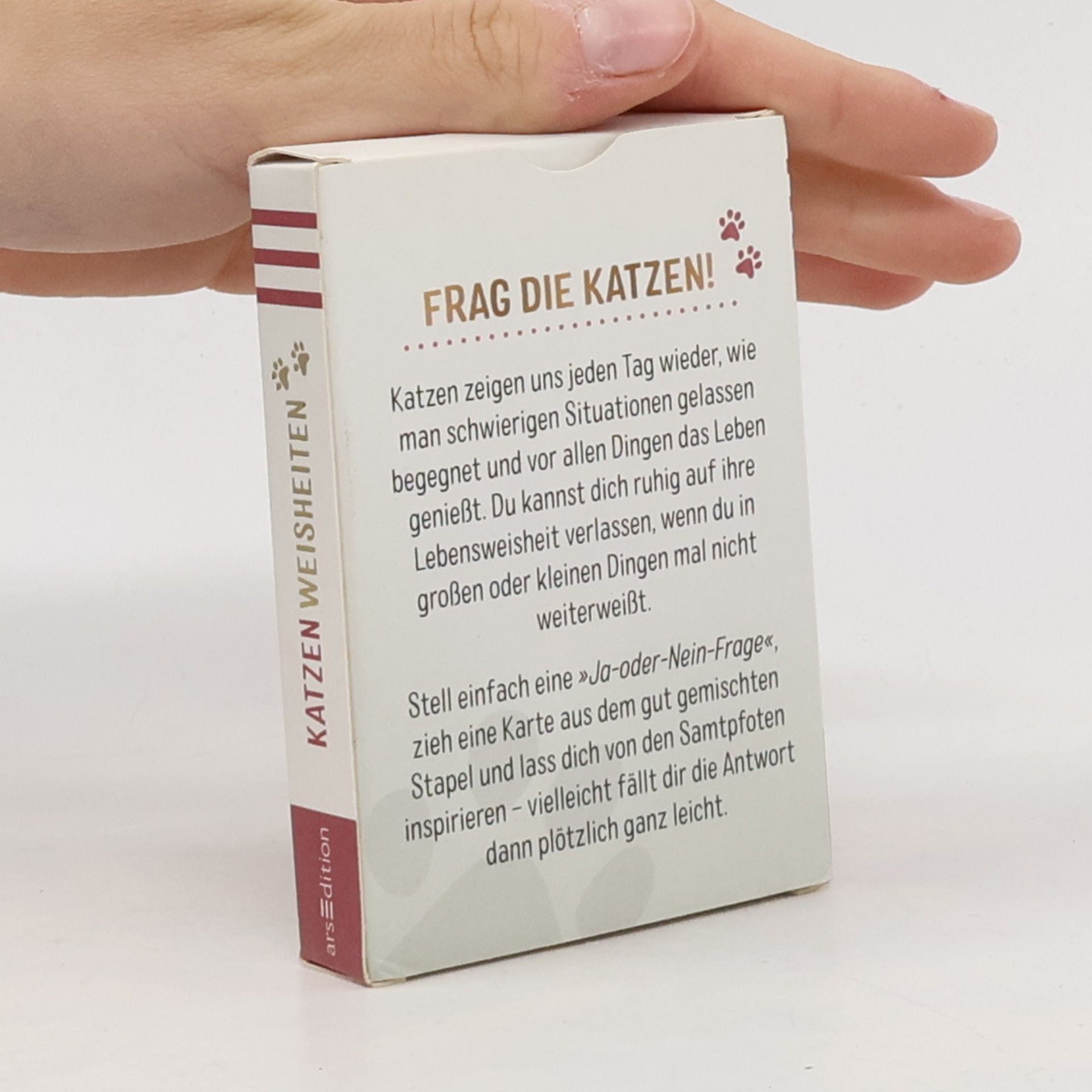 Autorenkollektiv Katzenweisheiten. 50 samtpfotige Orakelkarten