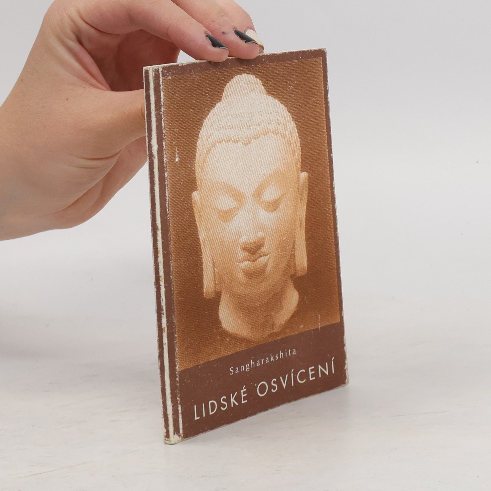 Lidské osvícení - Setkání s ideály a metodami buddhismu