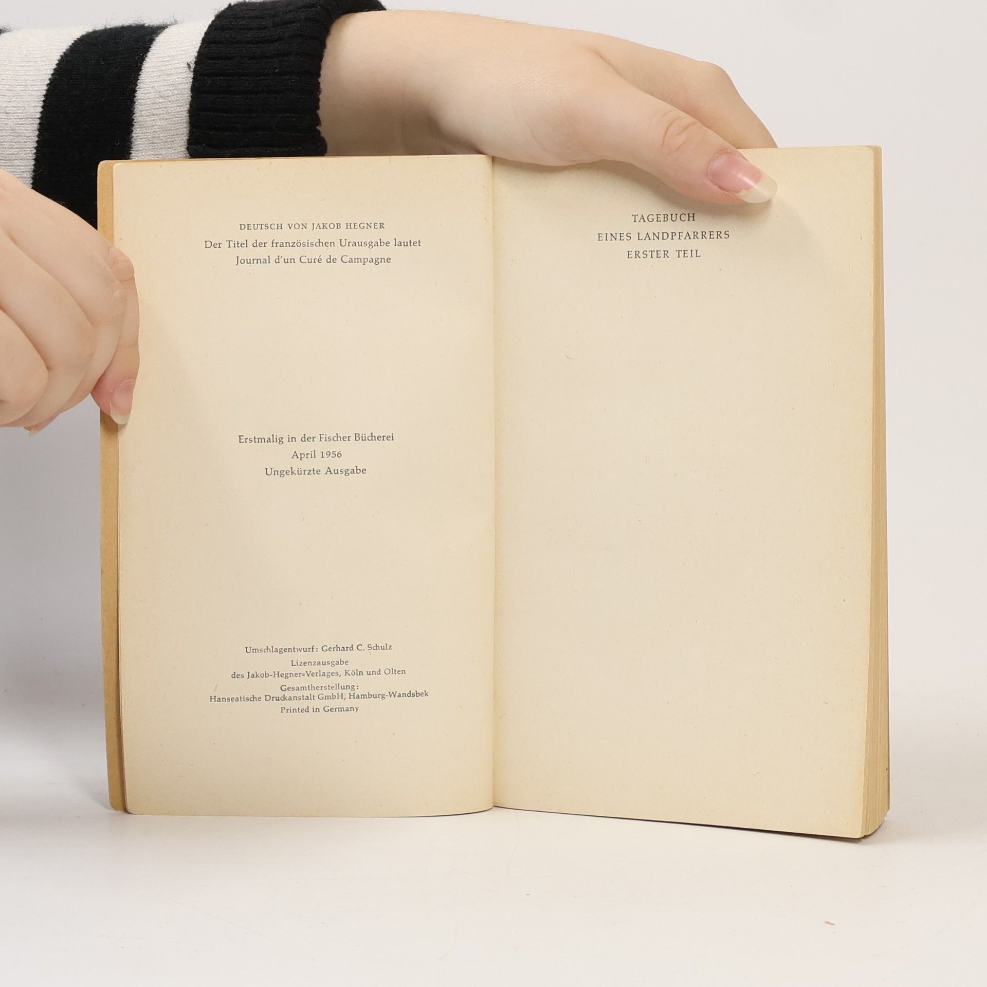 Georges Bernanos Tagebuch eines Landpfarrers