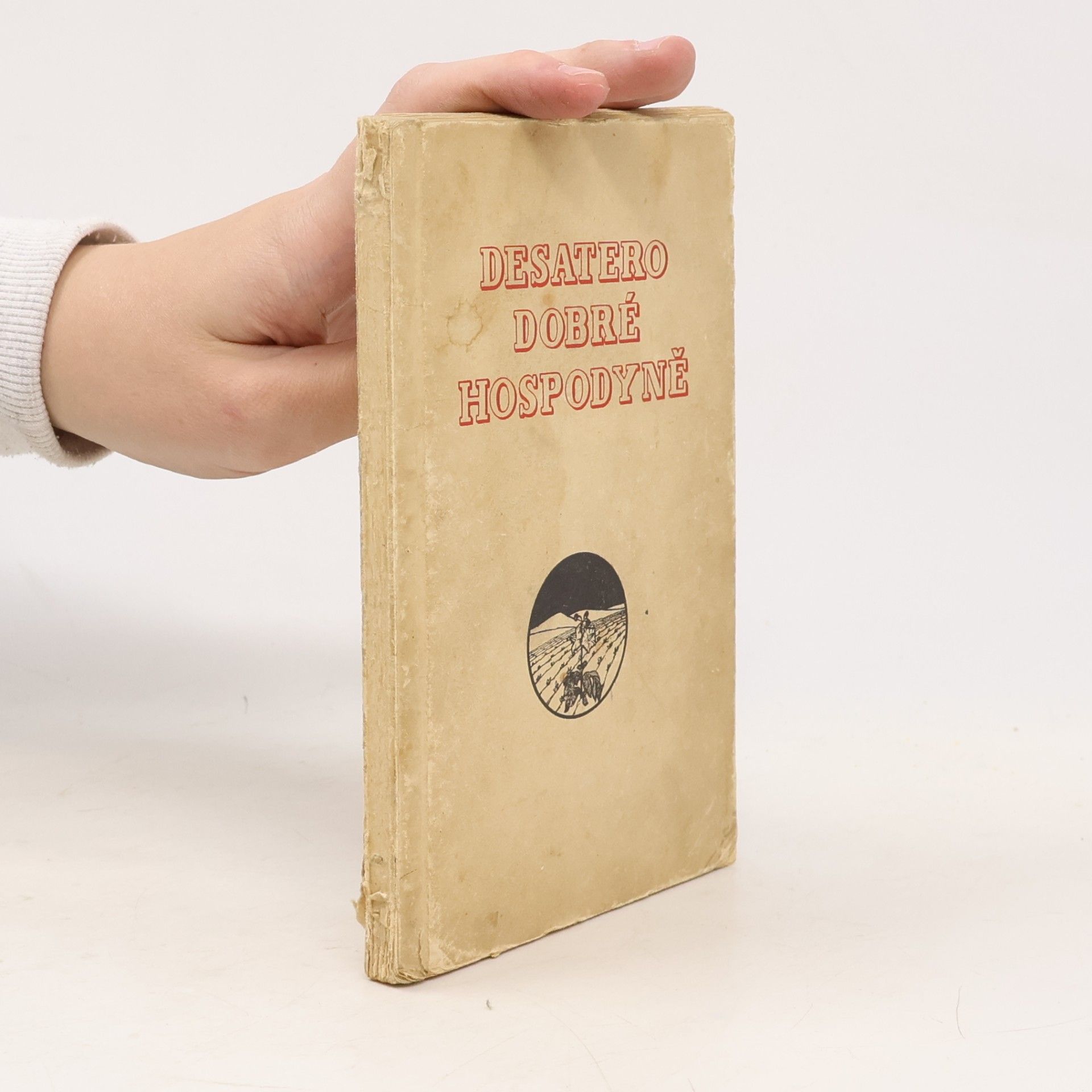 Autorenkollektiv Desatero dobré hospodyně. Sbírka osvědčených kuchařských předpisů