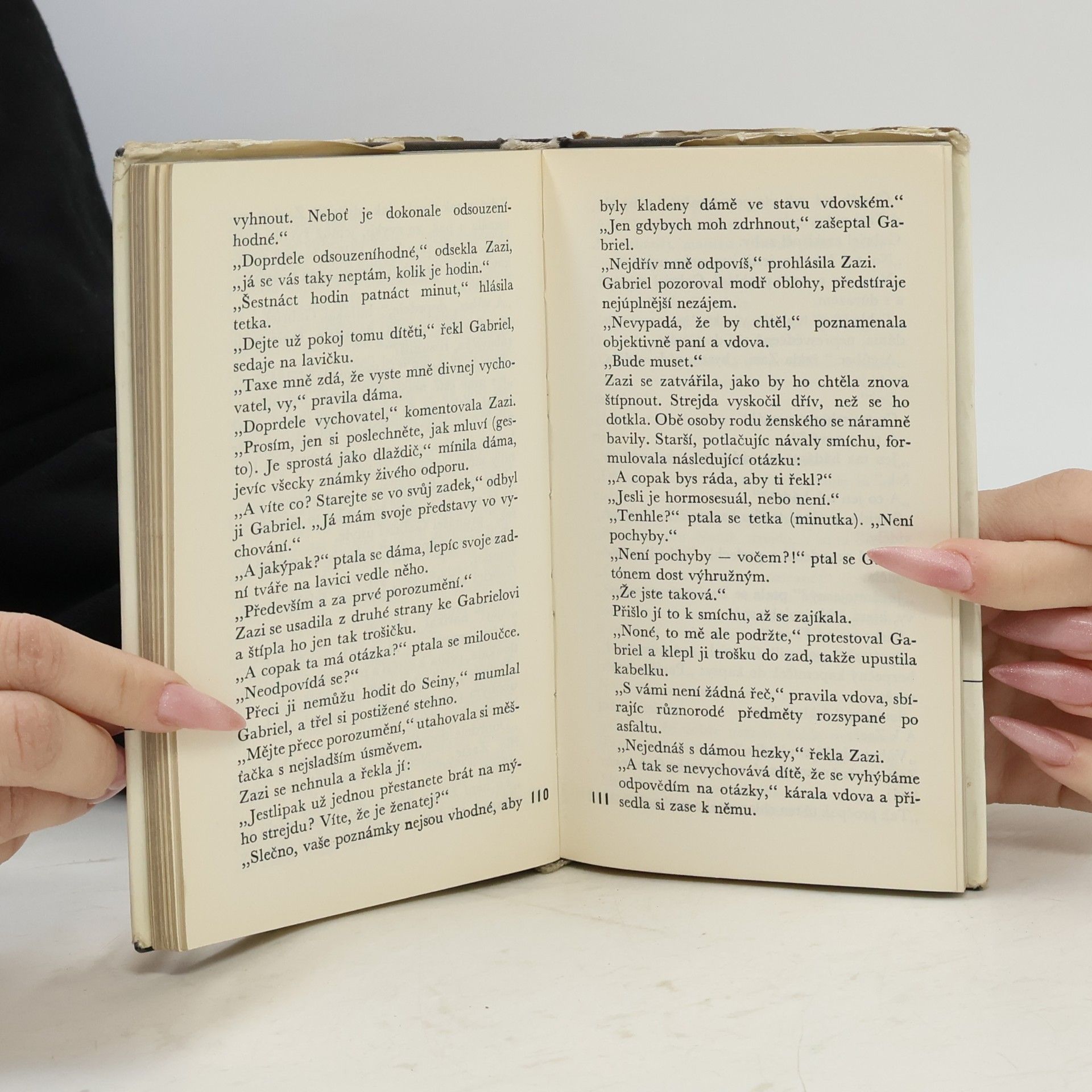 Raymond Queneau Zazi v metru