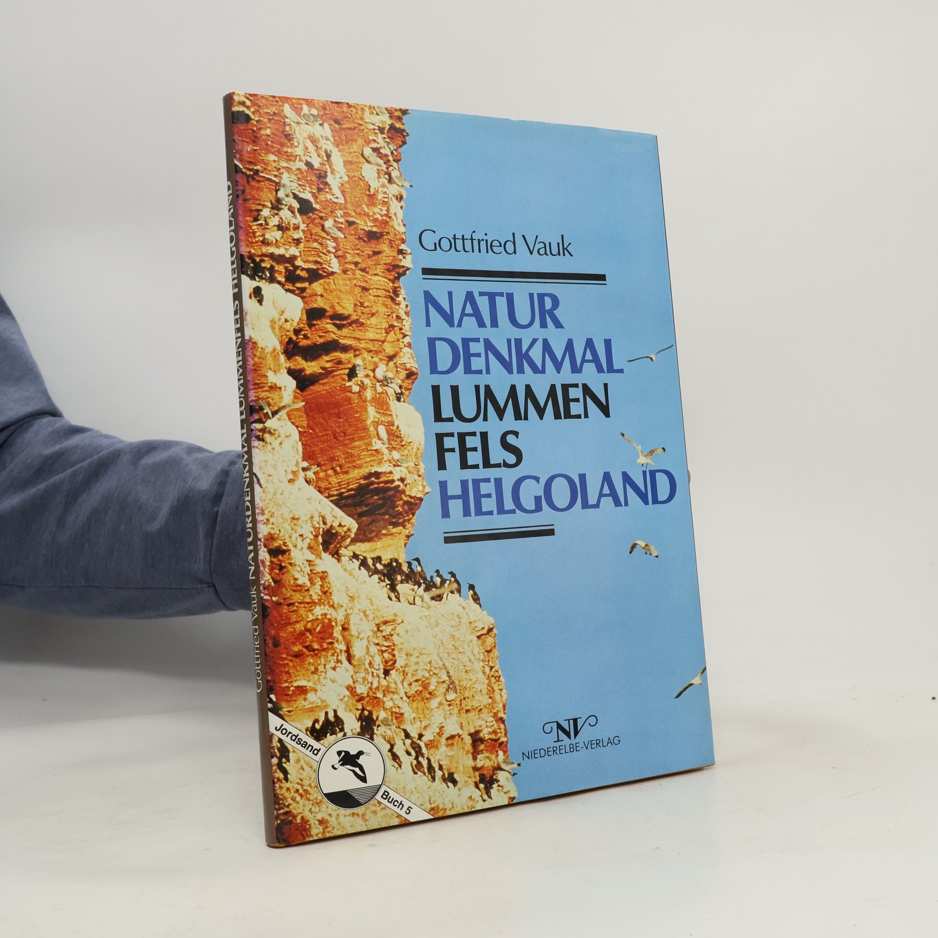 Naturdenkmal Lummenfels Helgoland
