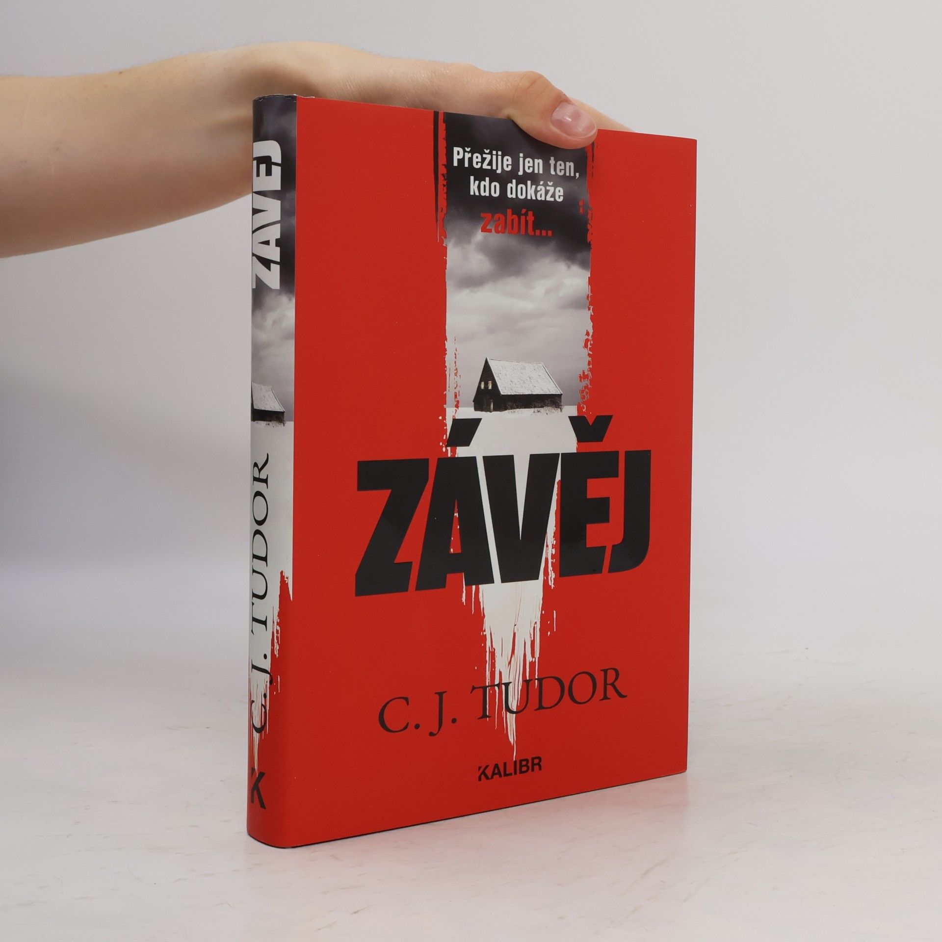 Jana Kunová Závěj