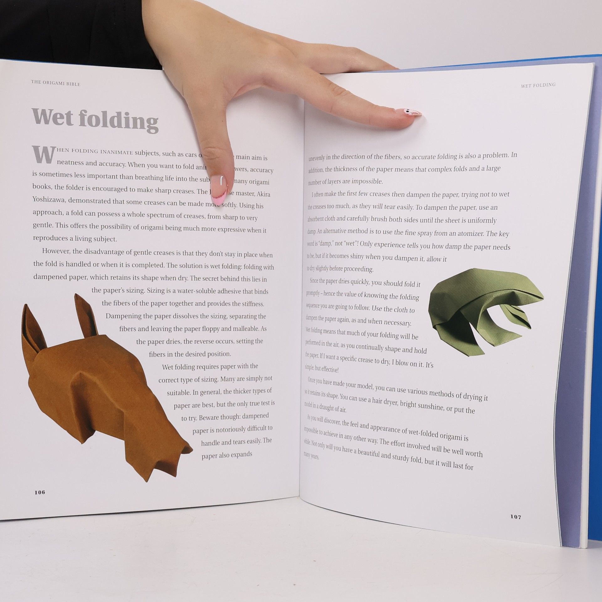 Nick Robinson The Origami Bible