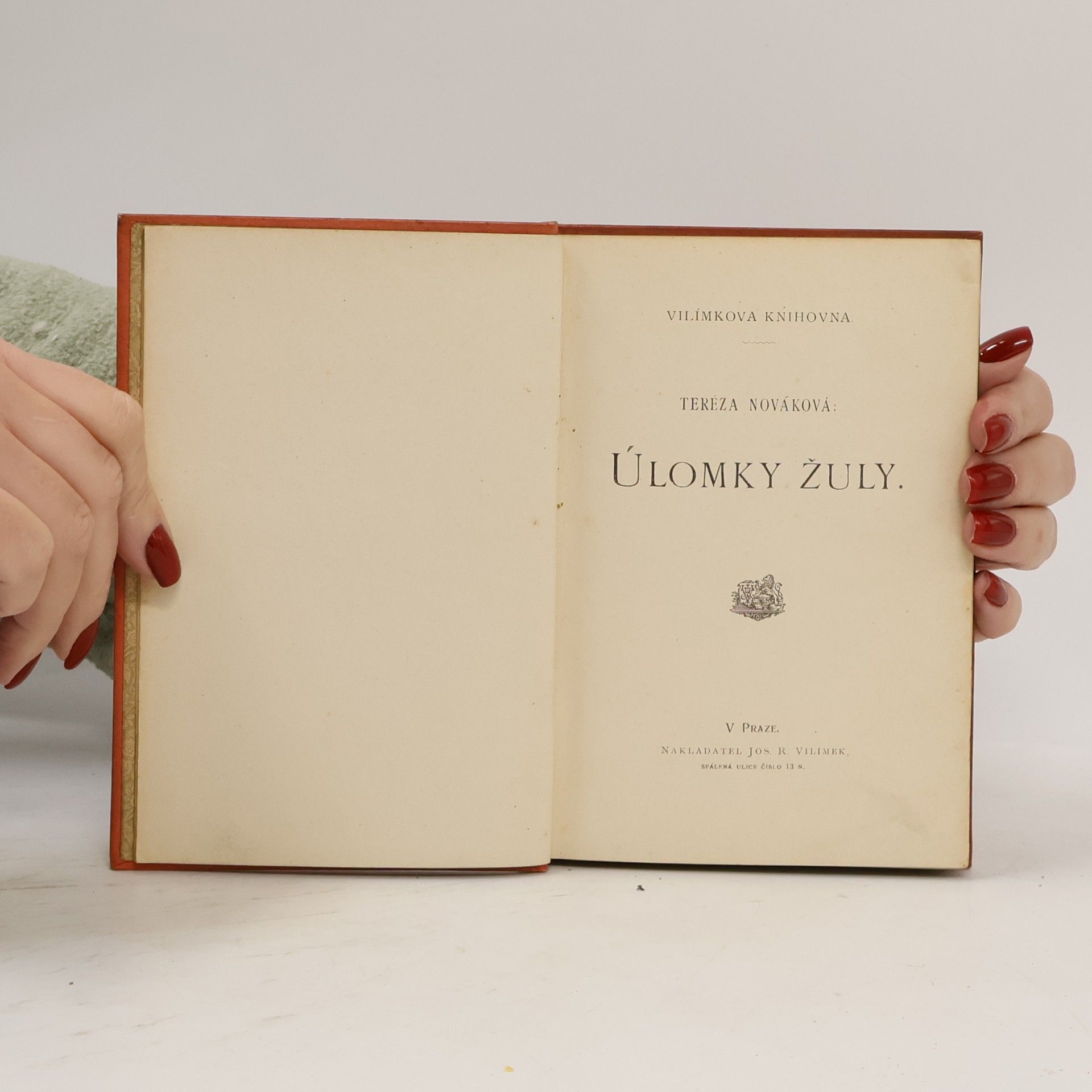 Tereza Nováková Úlomky žuly