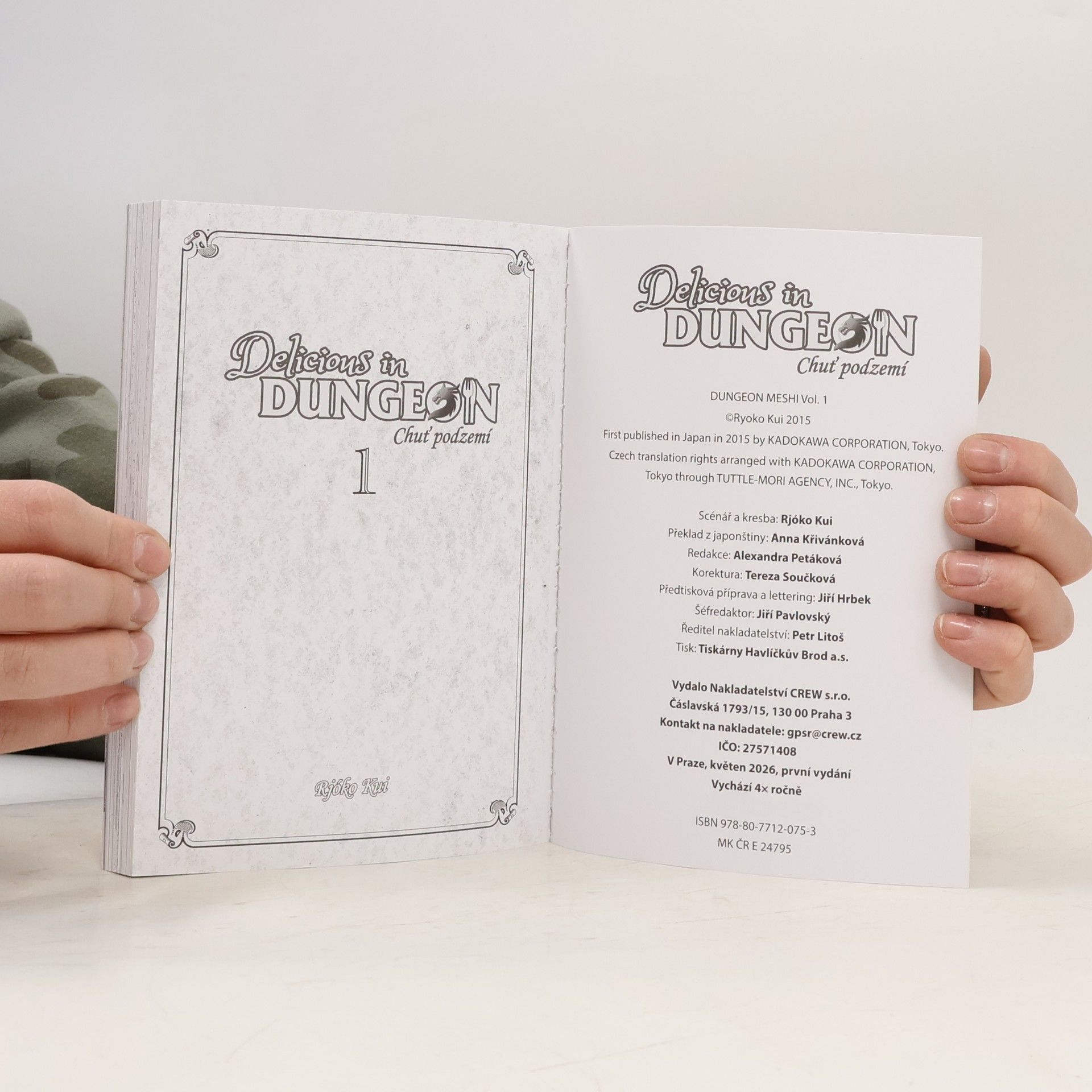 Rjóko Kui Delicious and dungeon - Chuť podzemí