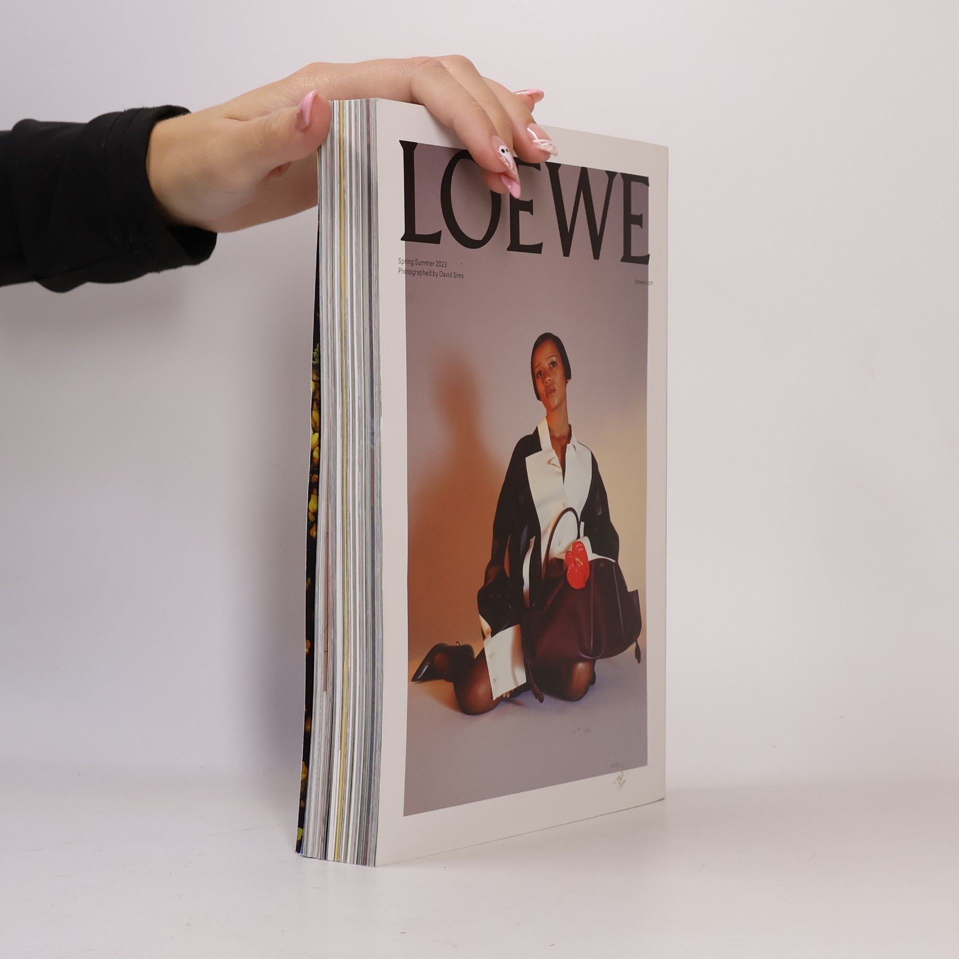 Various authors Apartamento Magazine Issue 31