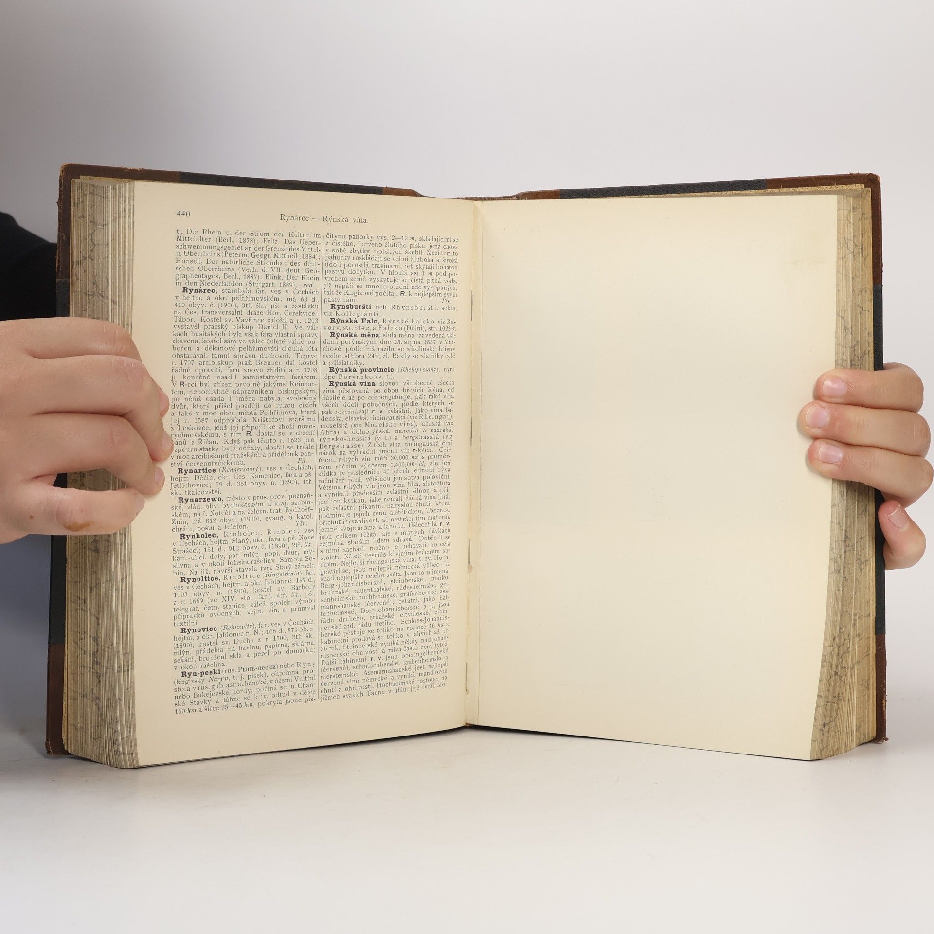 Autorenkollektiv Ottův slovník naučný. Díl 22. Rozkošný-Schloppe