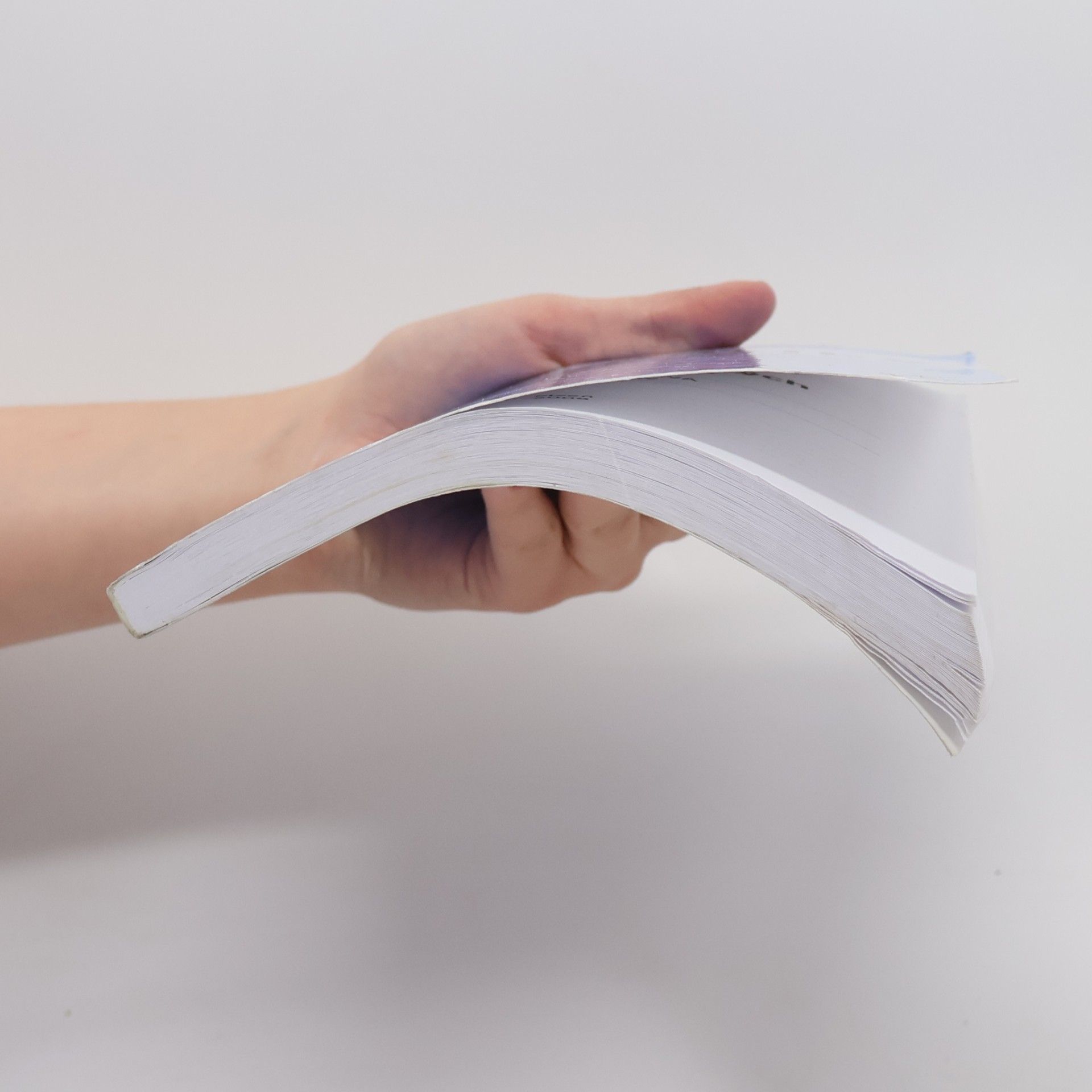 Eva Ulrychová Základy matematiky pro studium na ekonomických fakultách