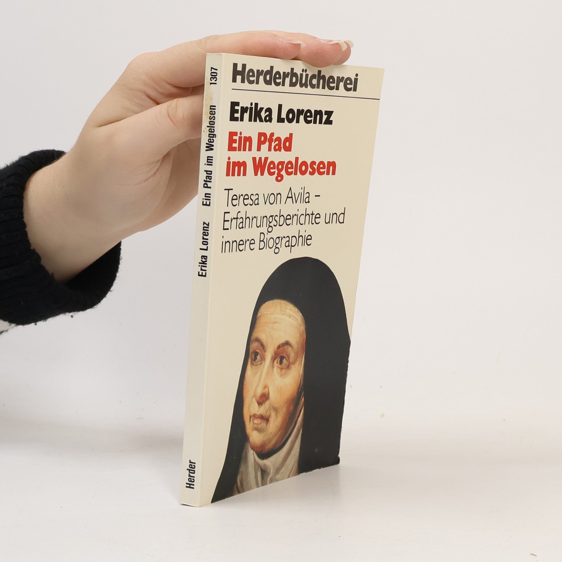 Erika Lorenz Ein Pfad im Wegelosen