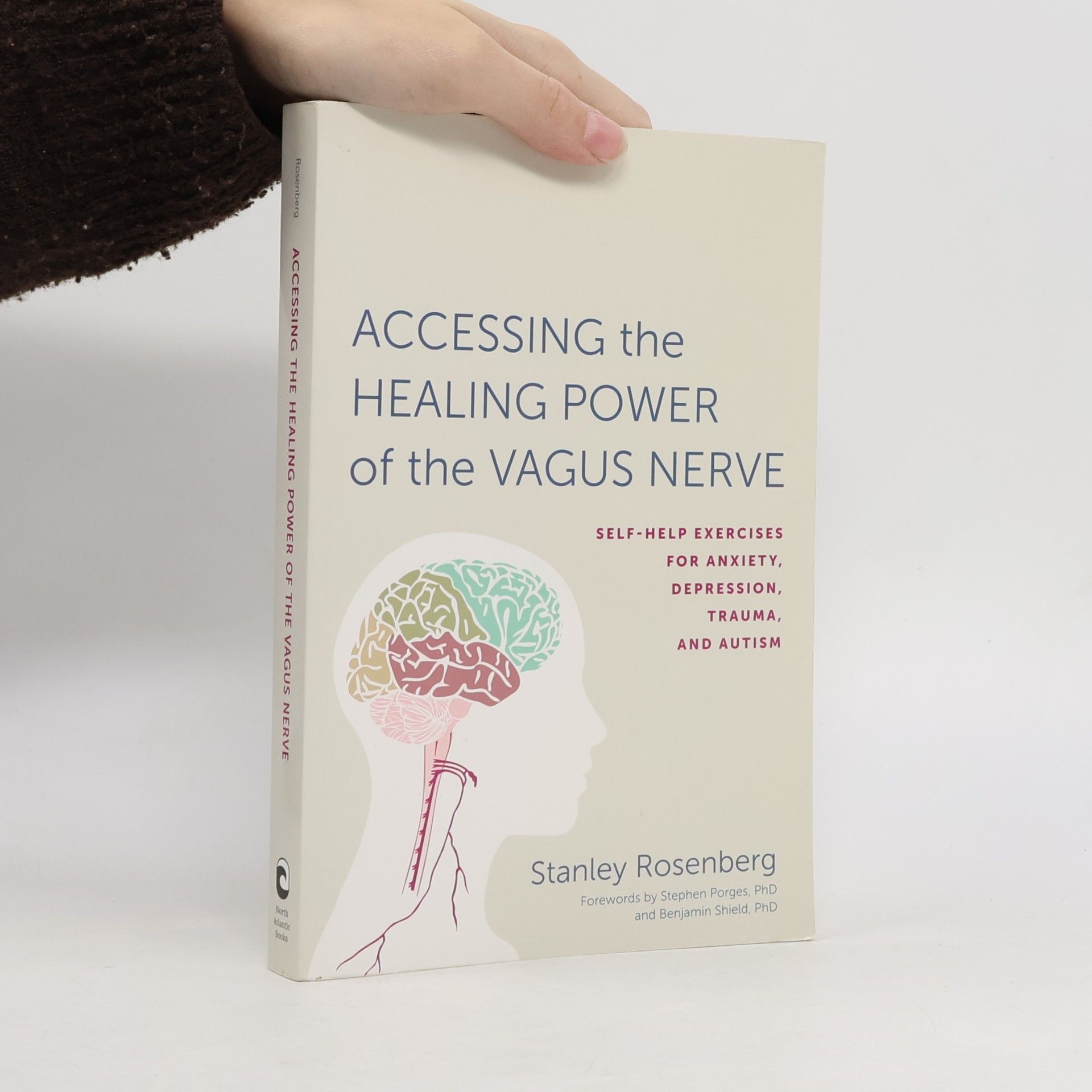 Accessing the healing power of the vagus nerve