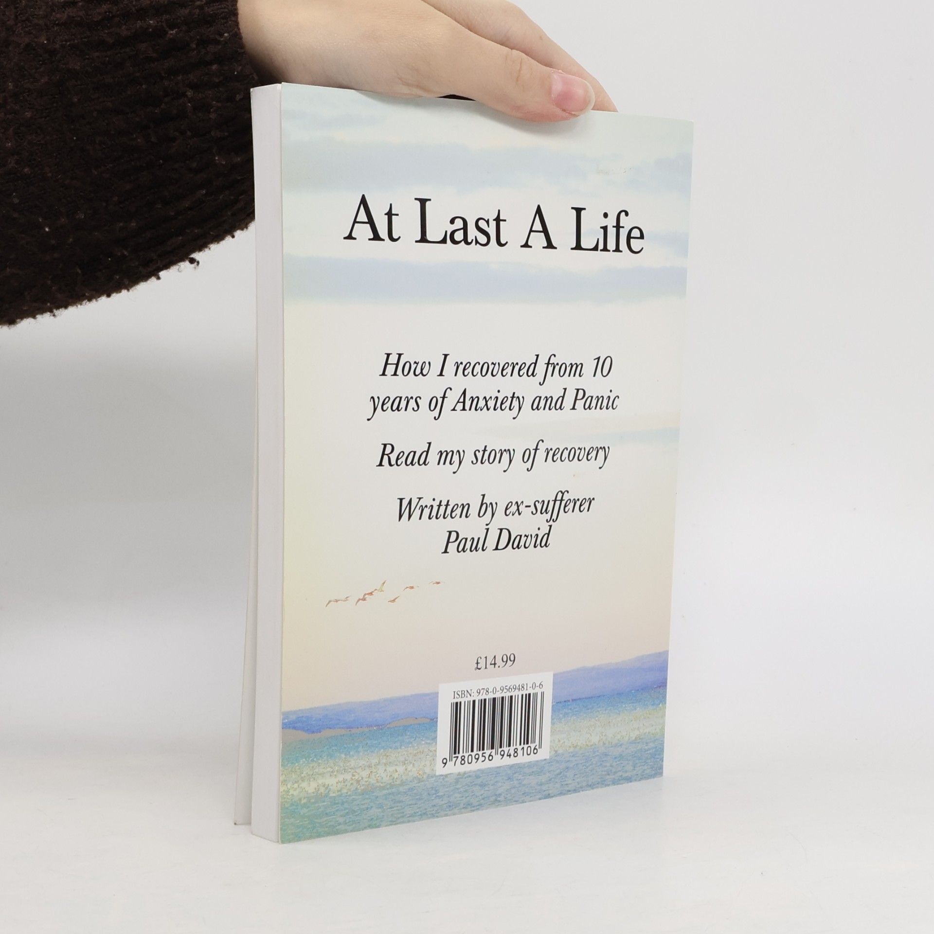 David Paul At Last a Life