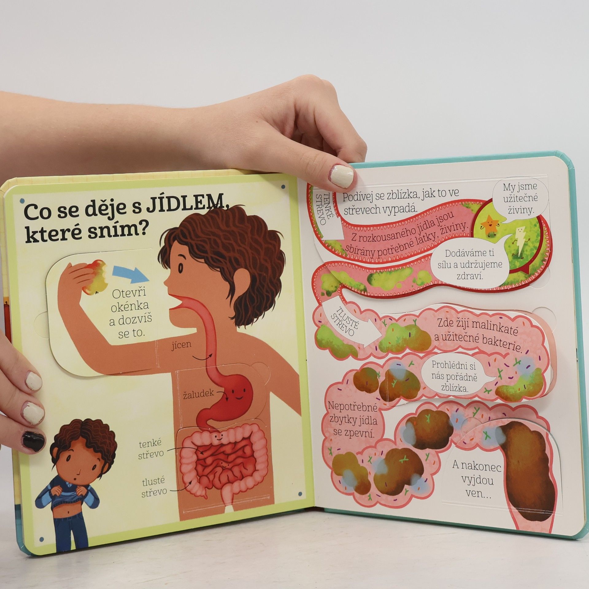 Katie Daynes Co se děje v mém těle? : úplně první otázky a odpovědi