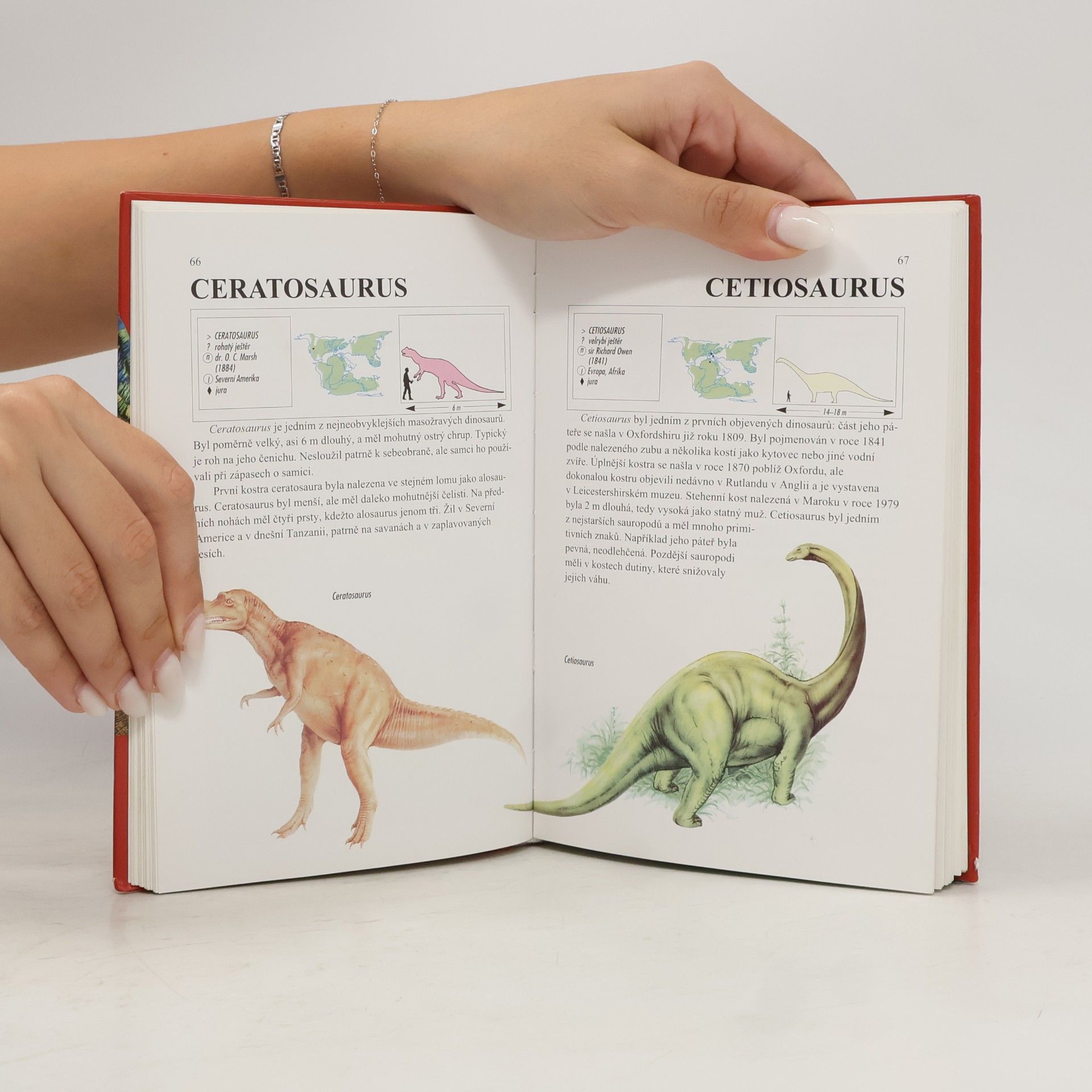 Michael J. Benton Dinosauři a jiná prehistorická zvířata. Průvodce světem vyhynulých živočichů