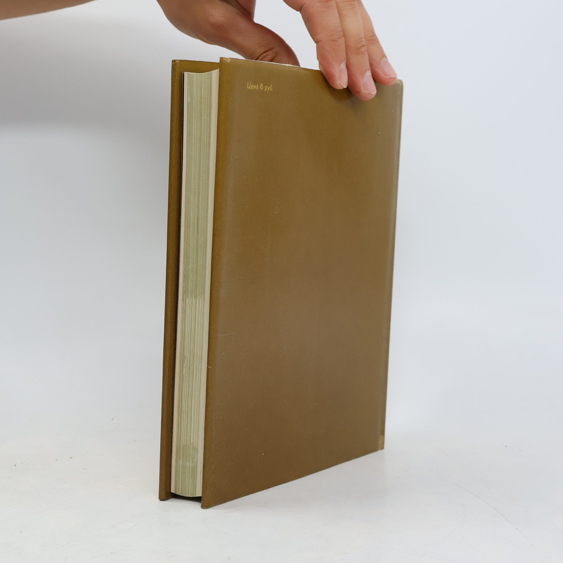Шота Руставели Витязь в тигровой шкуре