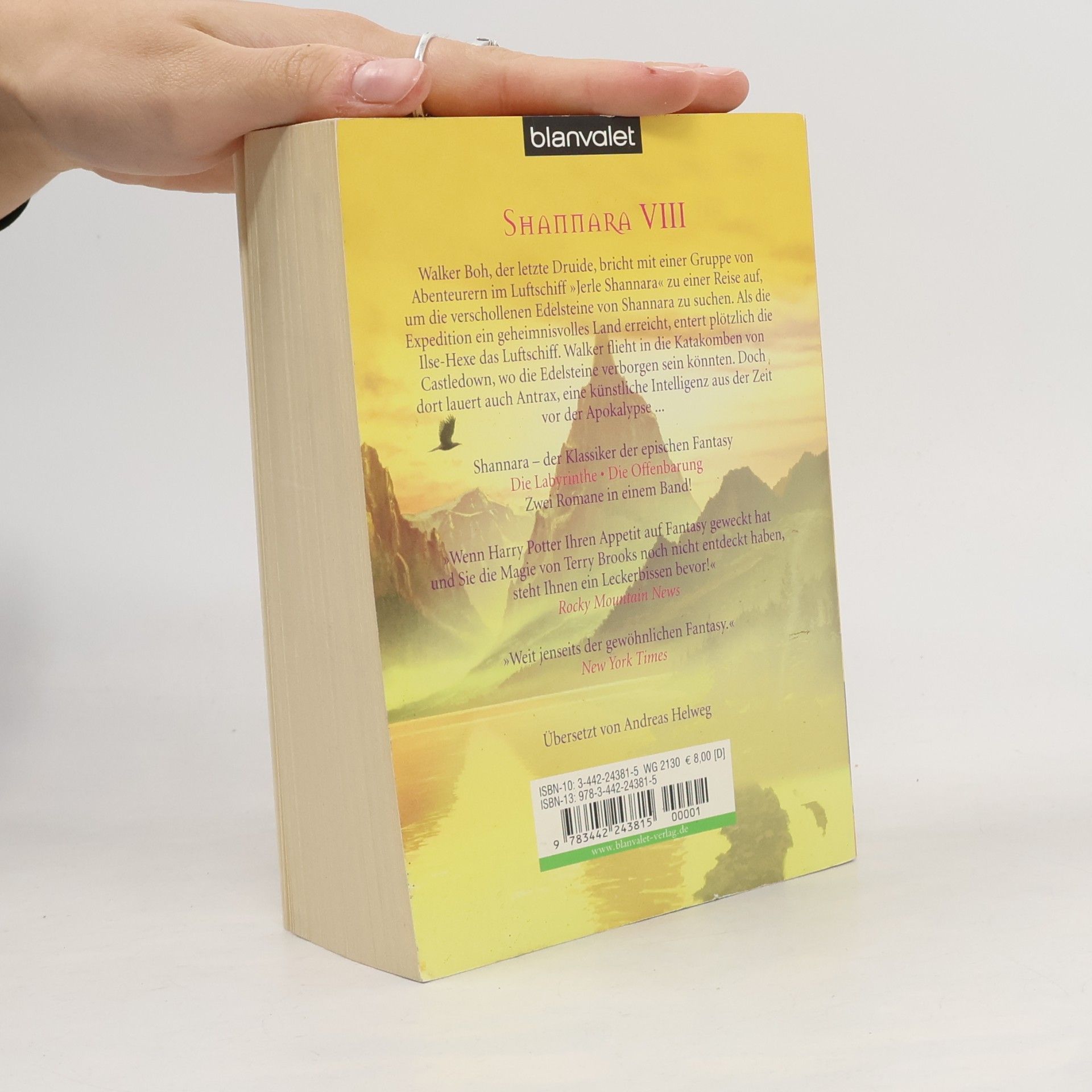 Terry Brooks Shannara VIII