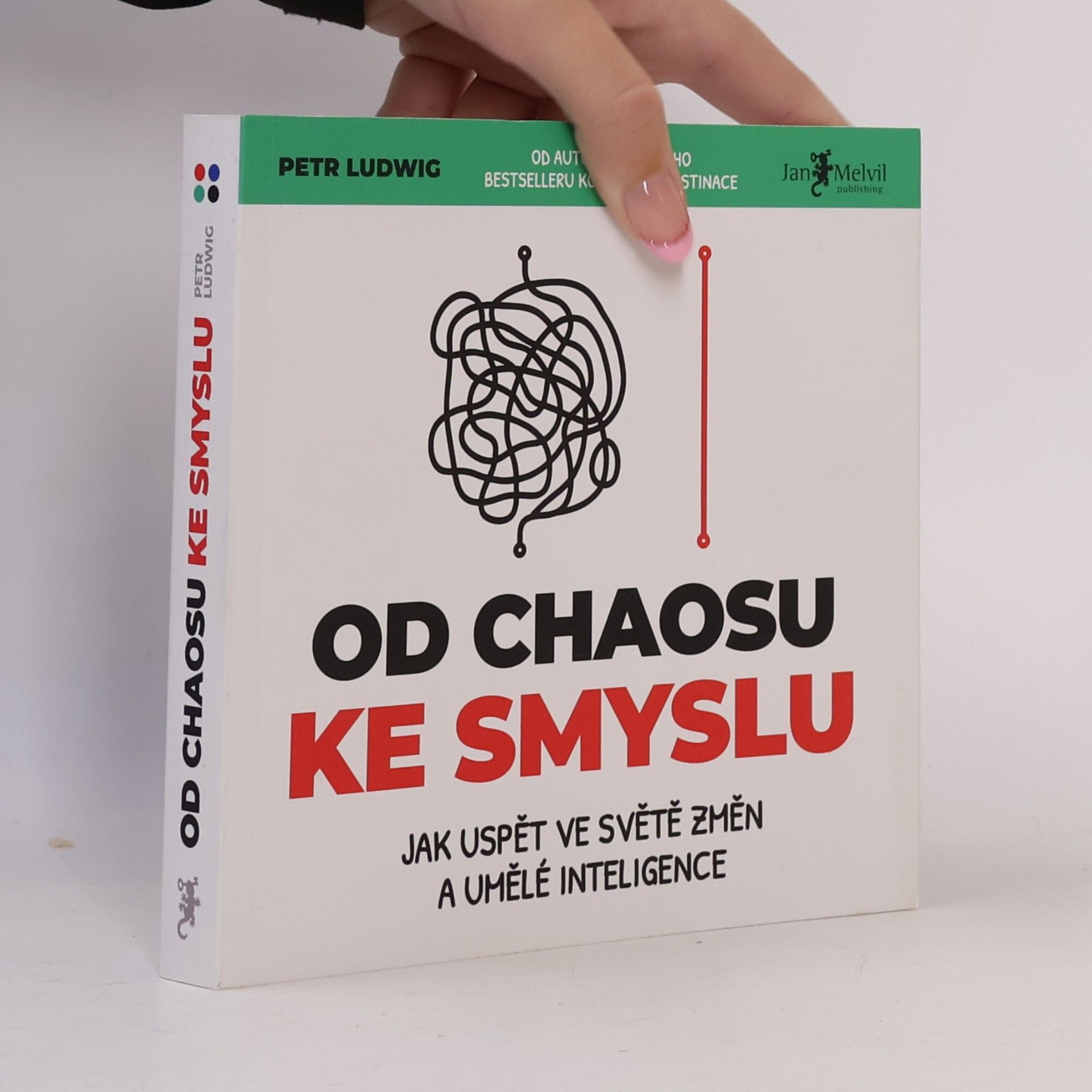 Od chaosu ke smyslu