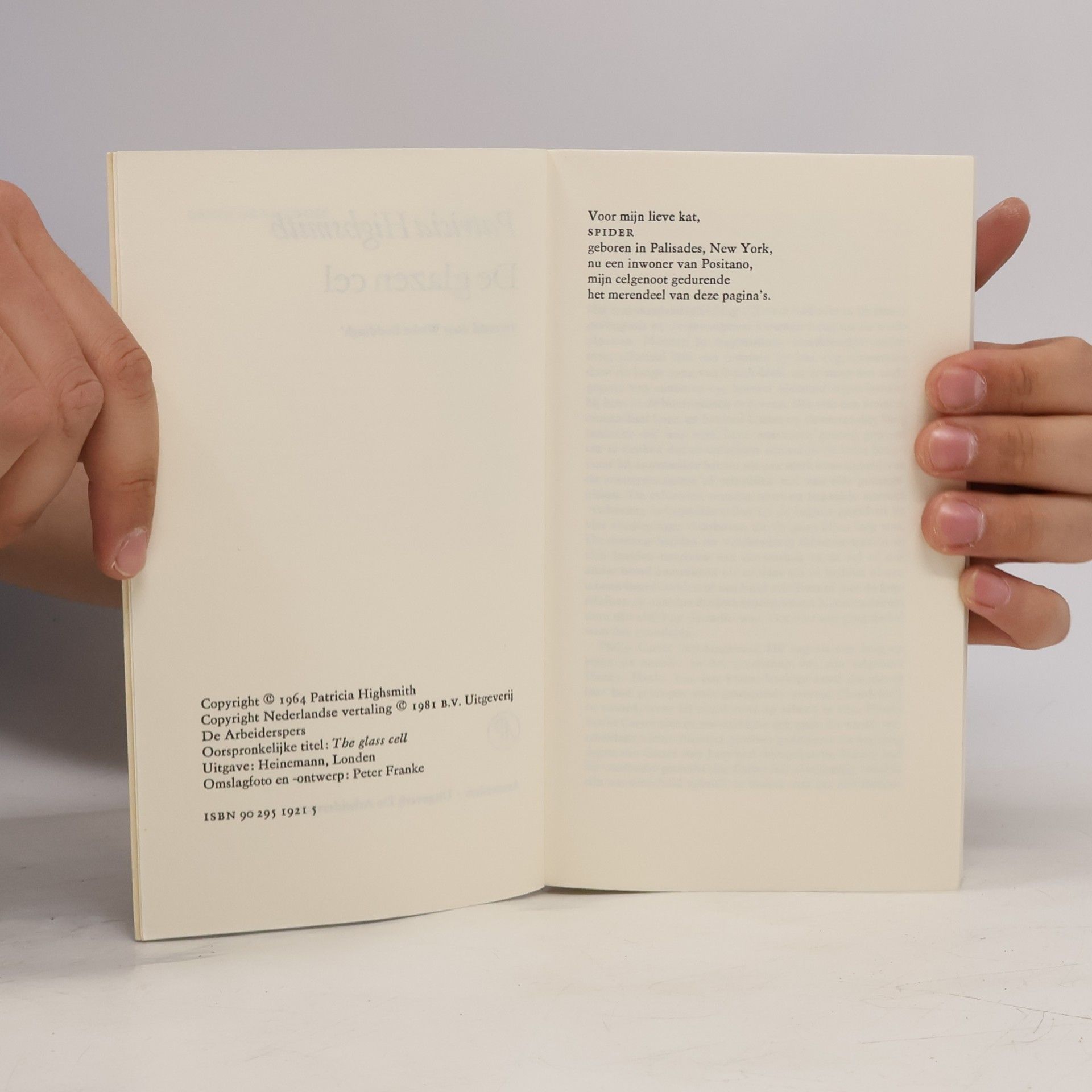 Patricia Highsmith Crime de la crime: De glazen cel