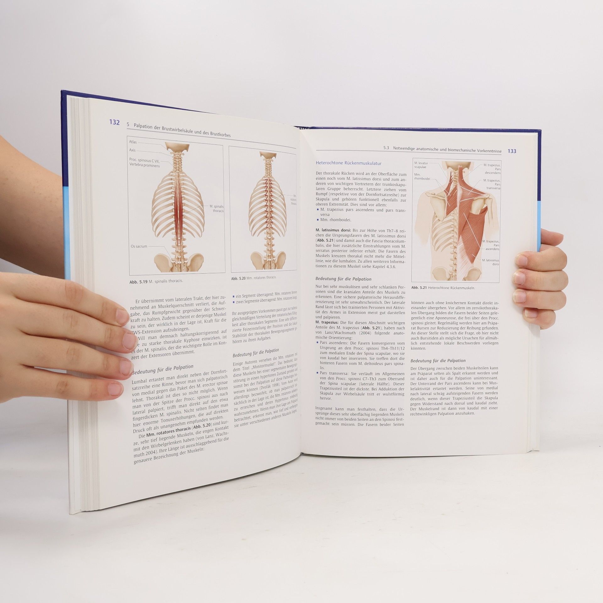 Bernhard Reichert Physiofachbuch - 2: Anatomie in vivo