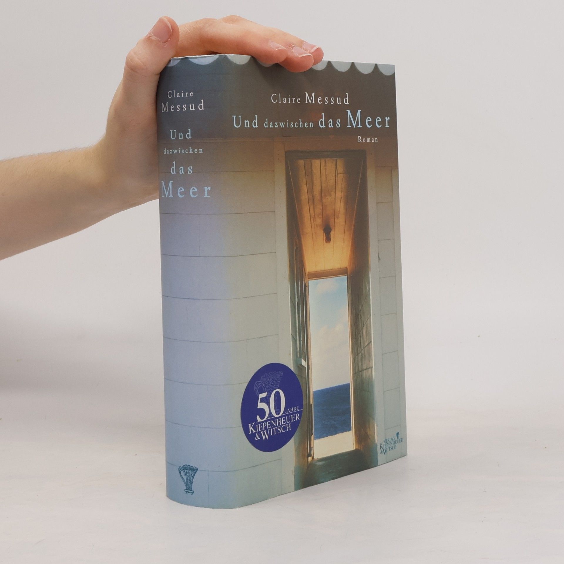 Claire Messud Und dazwischen das Meer