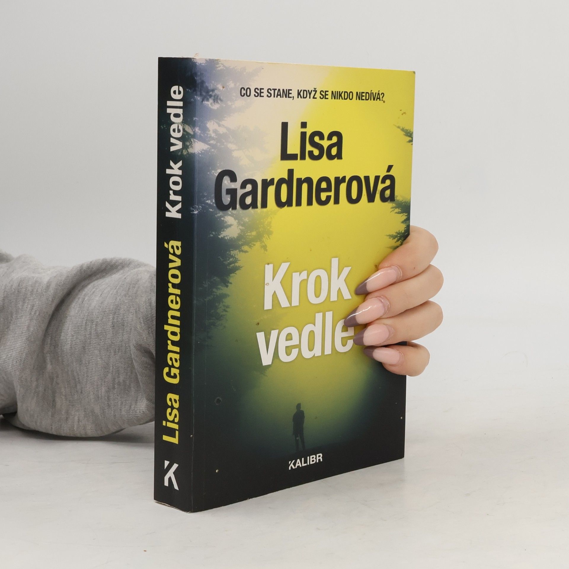 Lisa Gardner Krok vedle